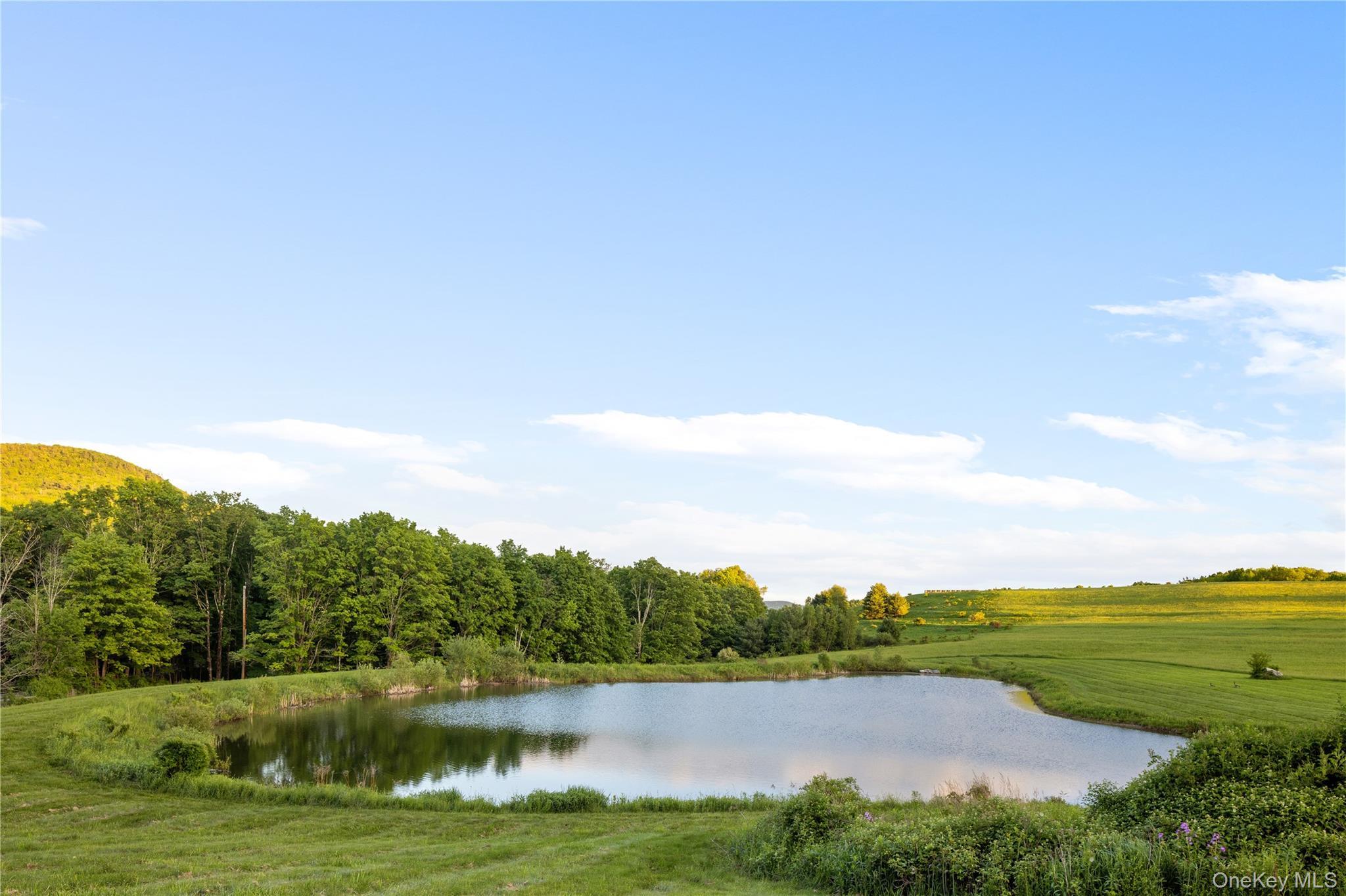 Single Family Dawson Road  Columbia County, NY 12529, MLS-1009156-4