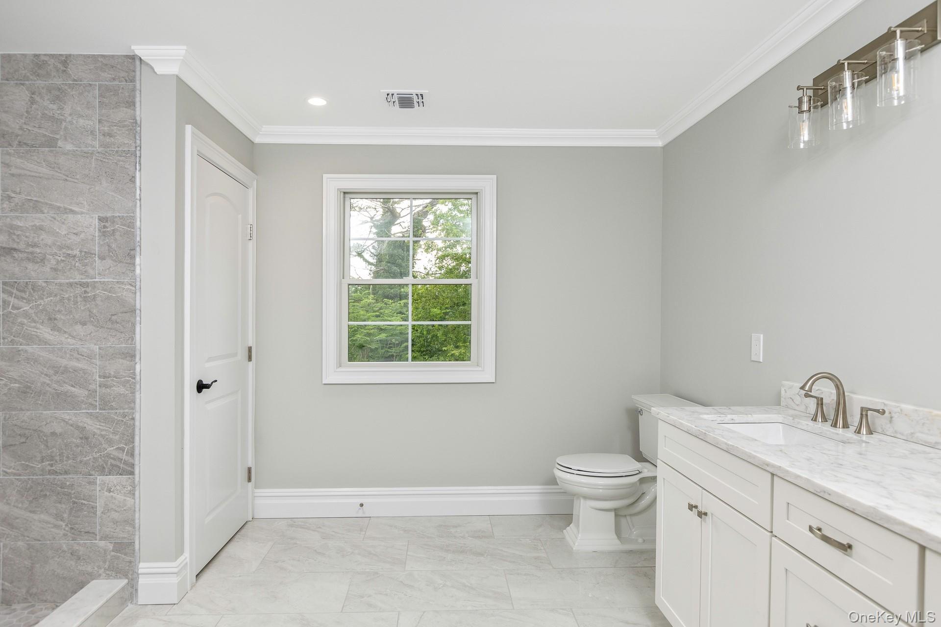Single Family Townline Road  Suffolk County, NY 11725, MLS-1009162-30