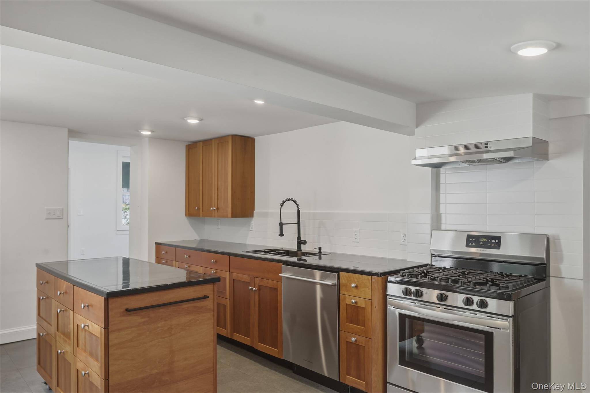 Single Family Hudson Street  Orange County, NY 12771, MLS-1009223-24