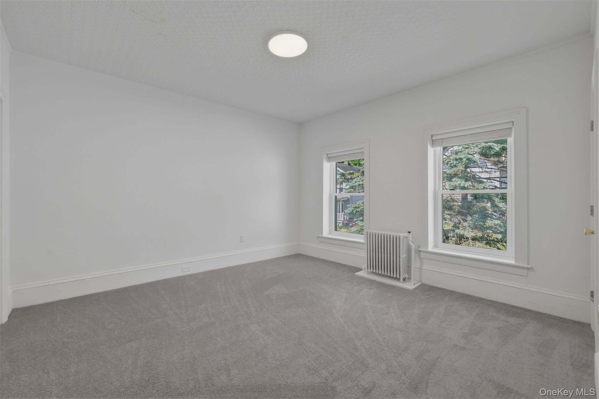 Single Family Hudson Street  Orange County, NY 12771, MLS-1009223-33