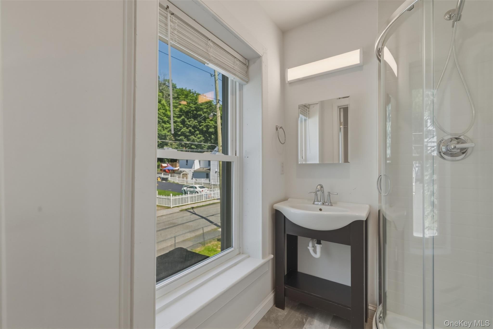 Single Family Hudson Street  Orange County, NY 12771, MLS-1009223-36