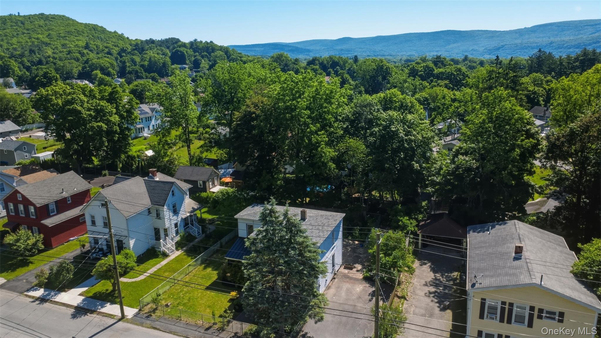 Single Family Hudson Street  Orange County, NY 12771, MLS-1009223-41