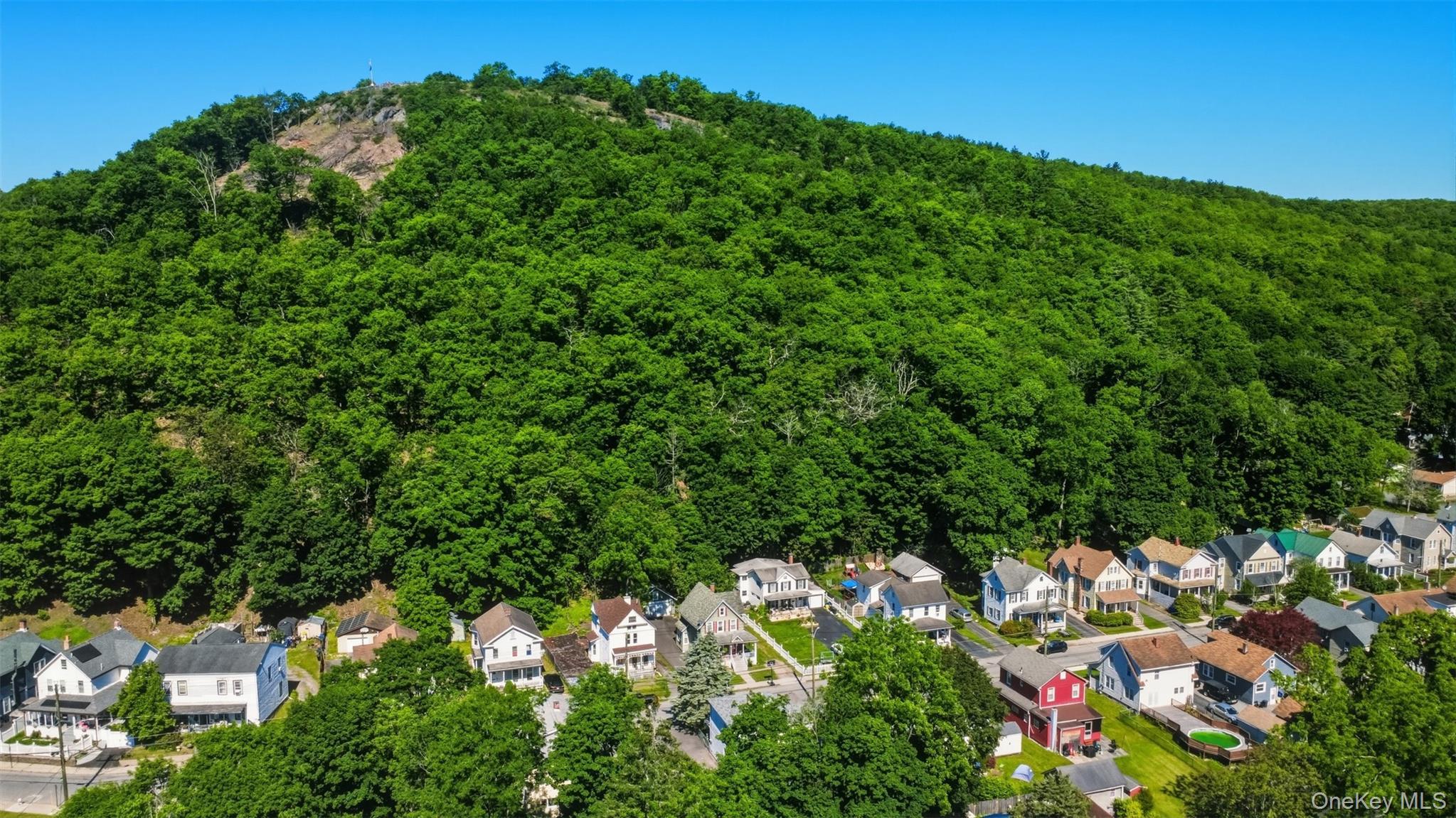 Single Family Hudson Street  Orange County, NY 12771, MLS-1009223-43