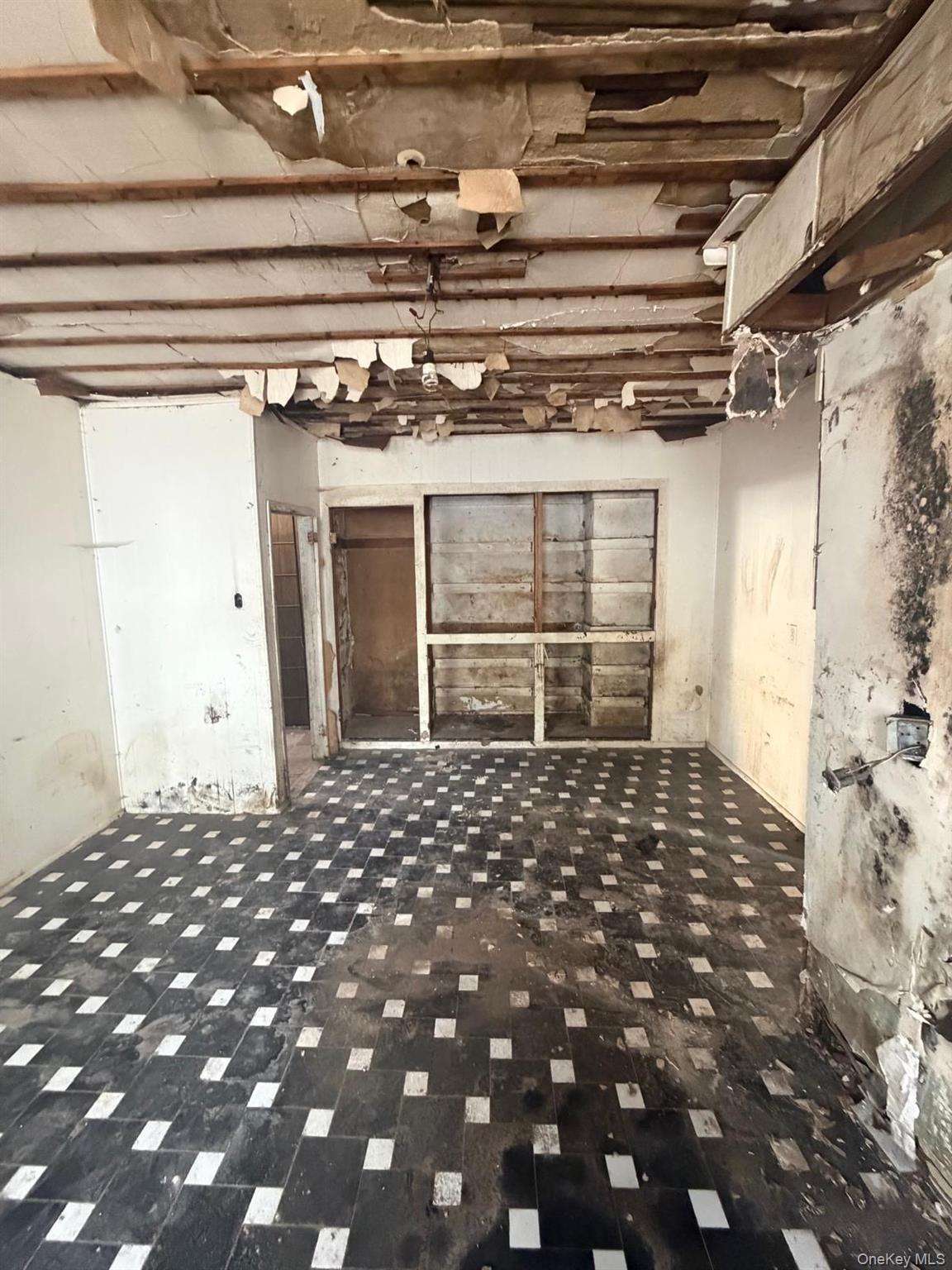 Single Family Crescent  Brooklyn, NY 11208, MLS-1009303-4