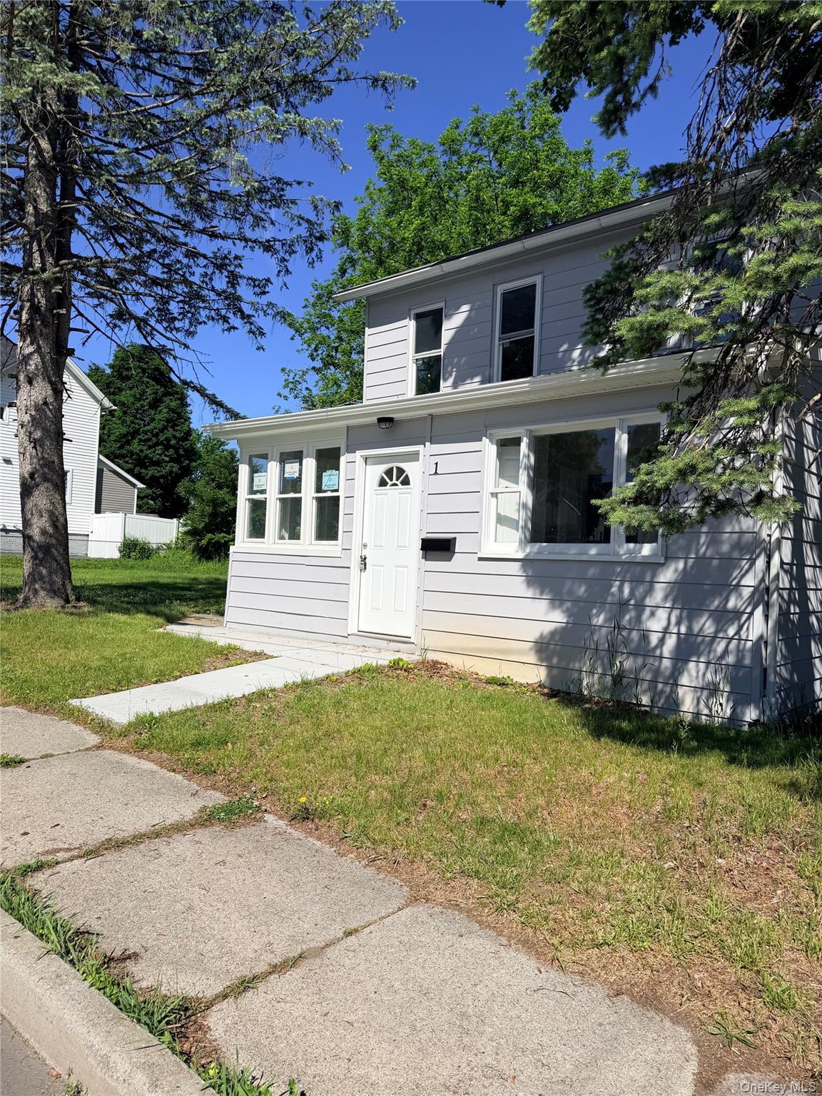 Single Family Chestnut Street Orange County, NY 10940, MLS-1009319-2