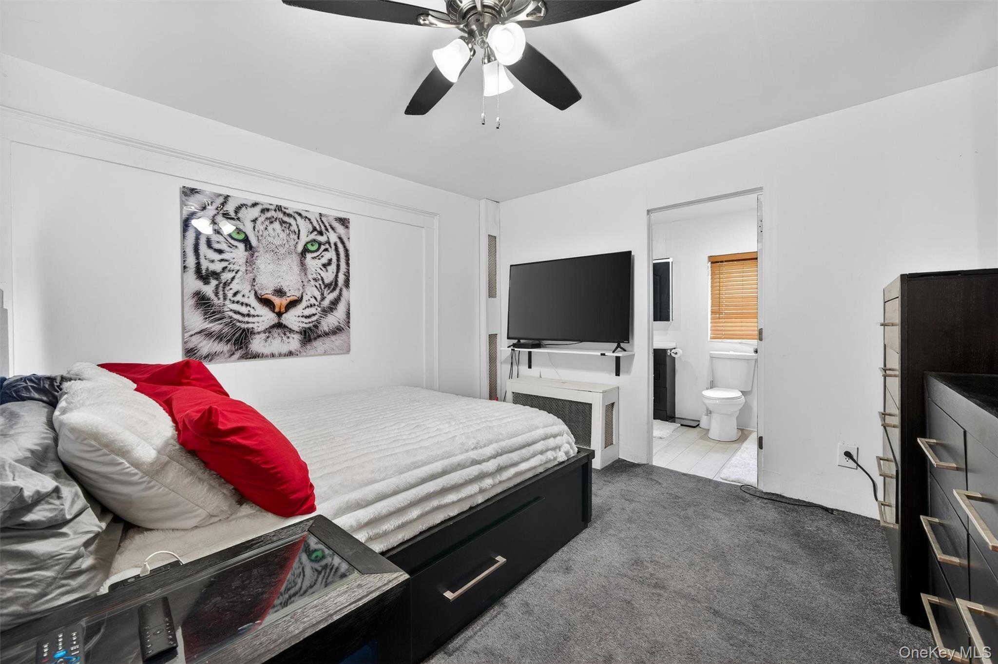 Single Family Schneider Avenue Orange County, NY 10928, MLS-1009342-23