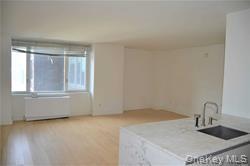 Apartment 57 Th St  Manhattan, NY 10019, MLS-1009351-5