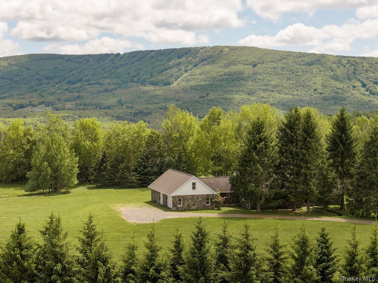 Single Family Brush Ridge Road  Delaware County, NY 12430, MLS-1009520-2