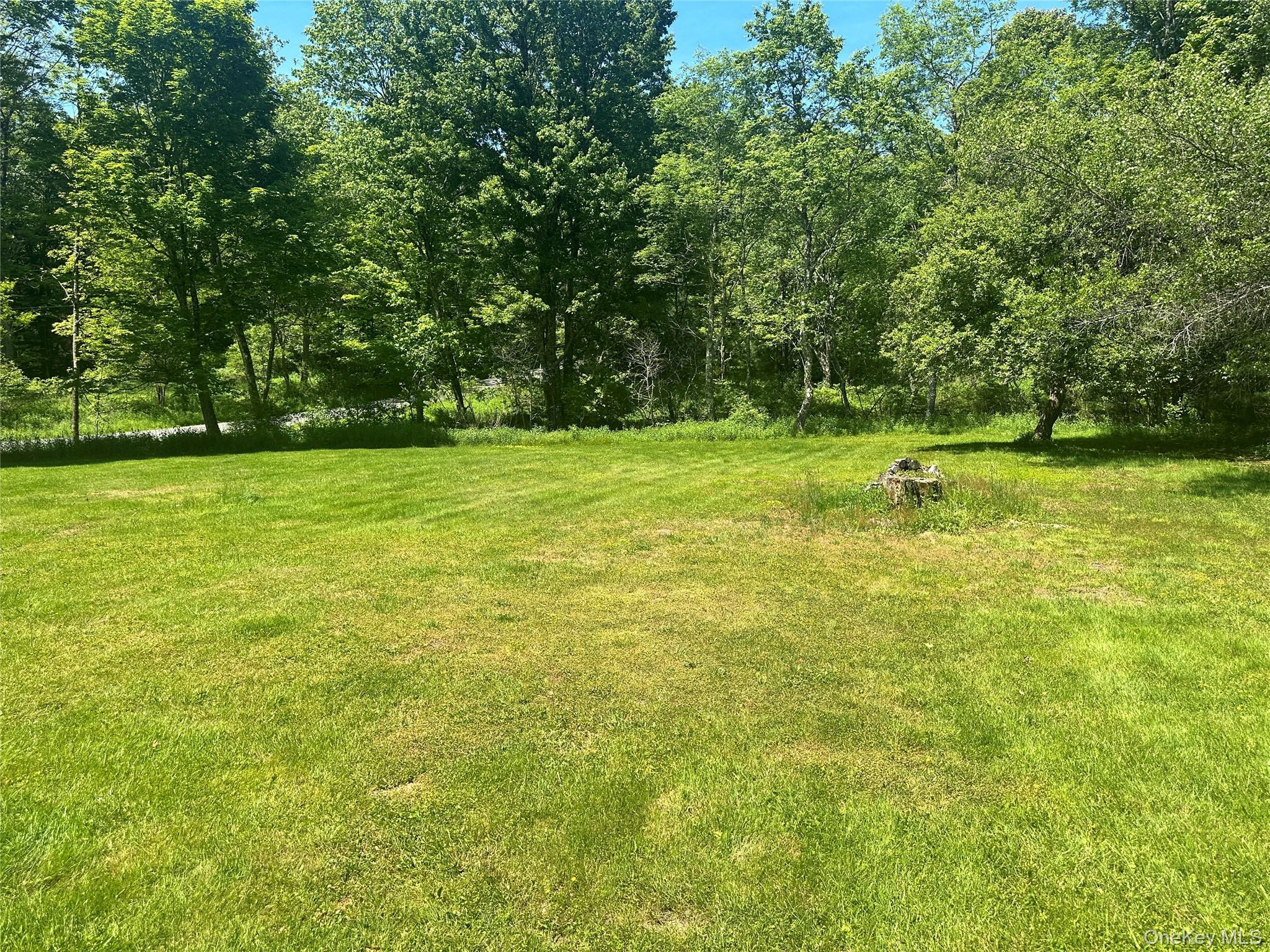 Single Family Harris Road Sullivan County, NY 12701, MLS-1009551-9