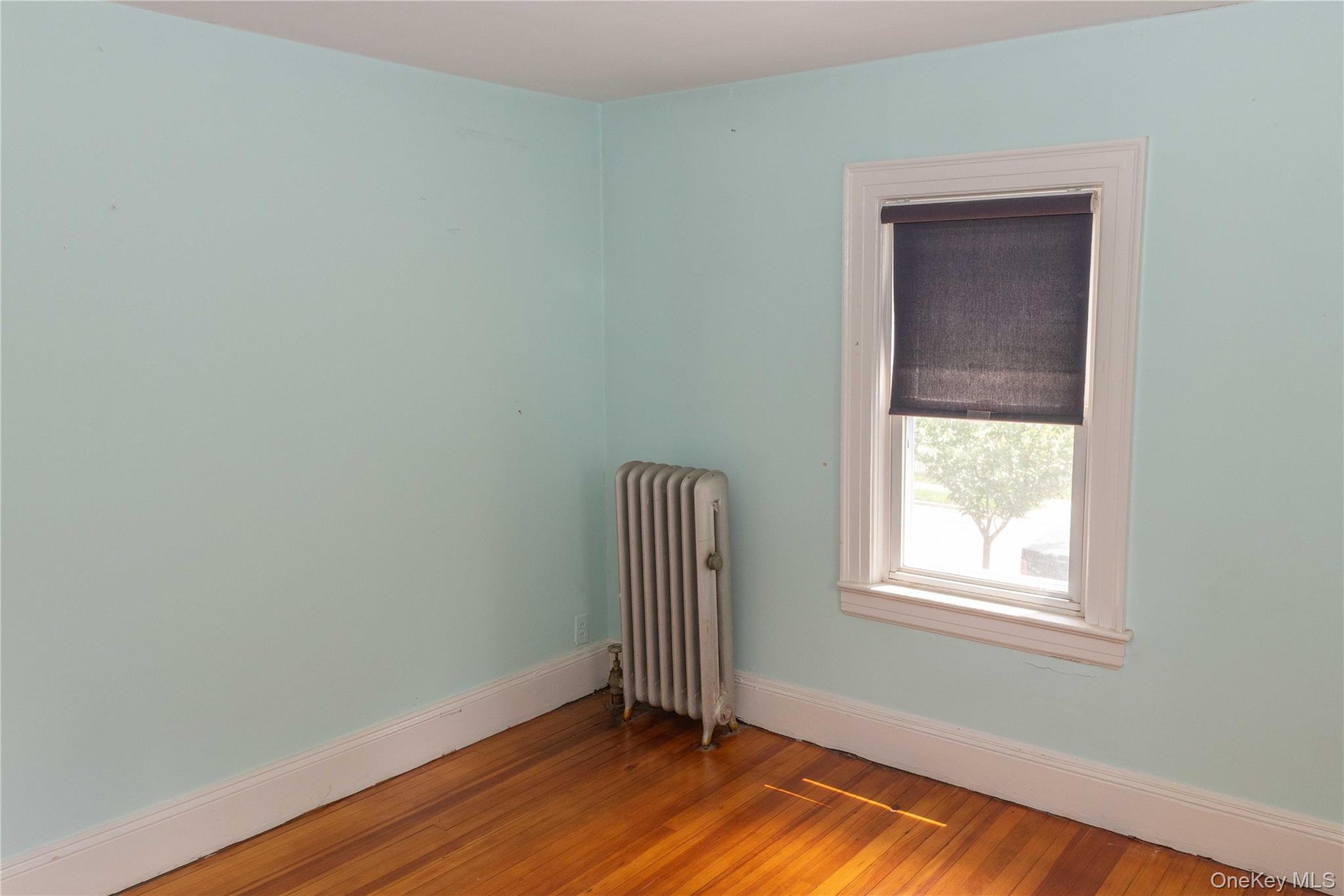 Single Family Sherman Street Nassau County, NY 11563, MLS-1009569-12