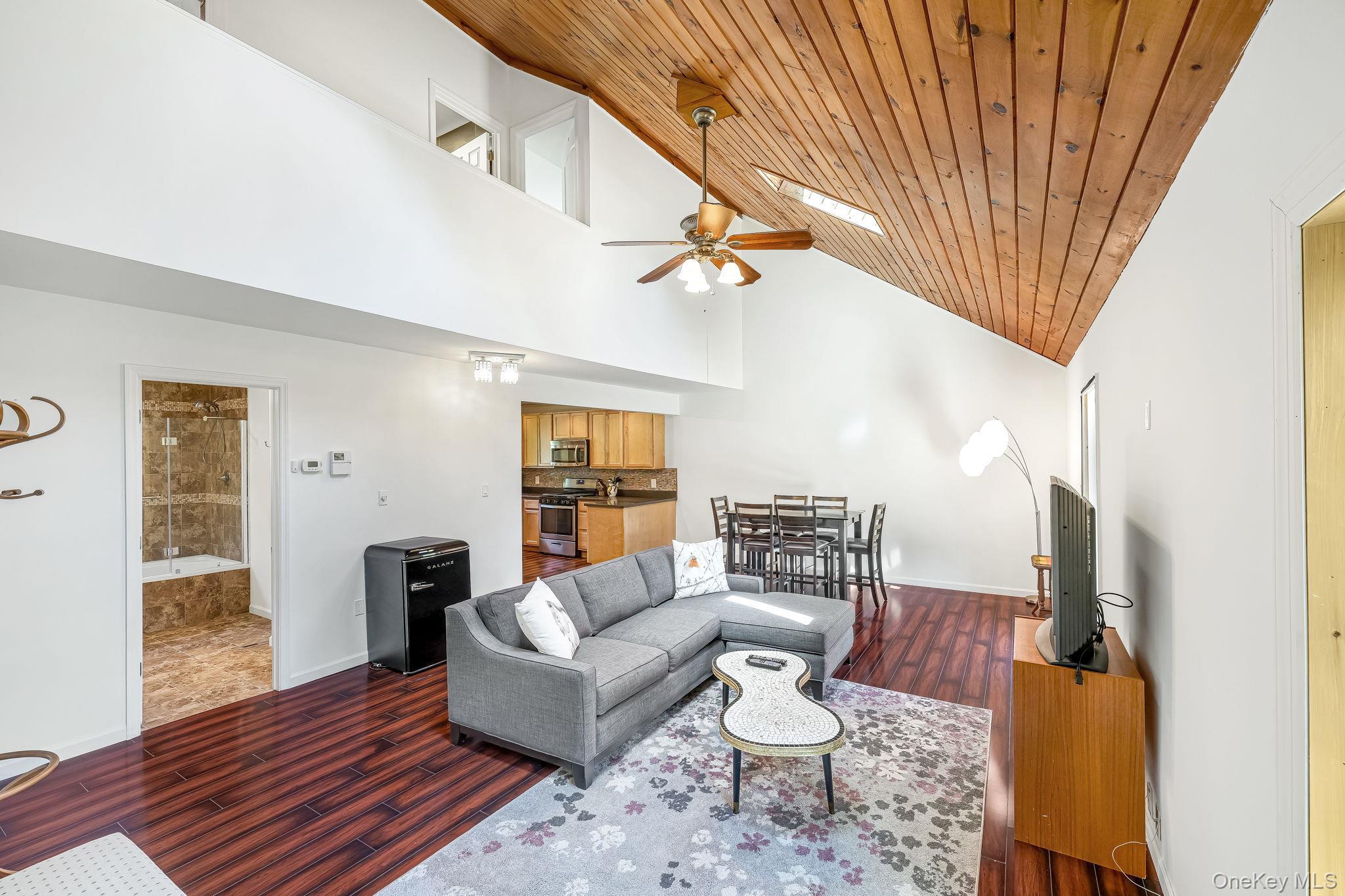 Single Family Dutch Hill Road  Sullivan County, NY 12776, MLS-1009604-10