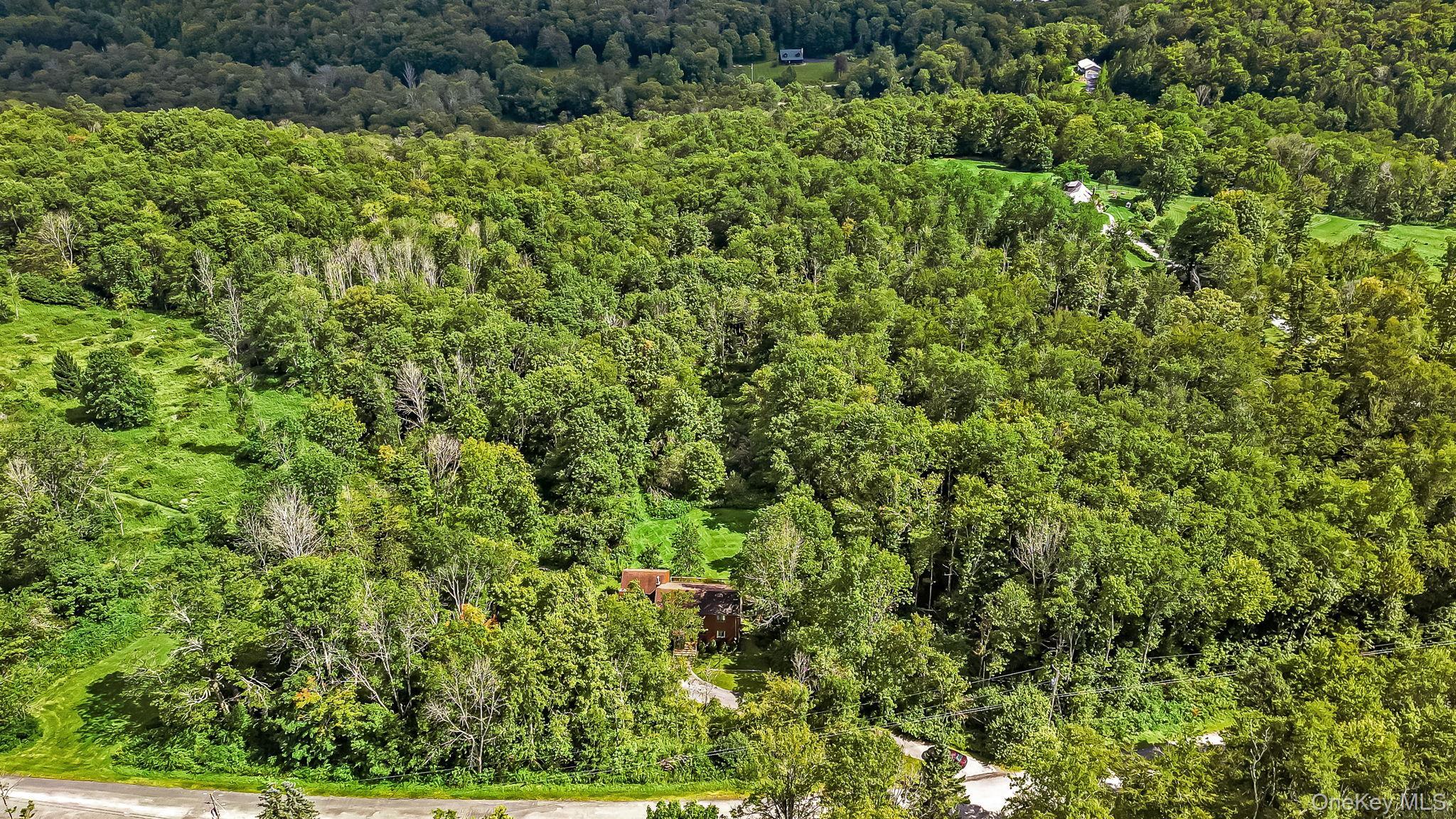 Single Family Dutch Hill Road  Sullivan County, NY 12776, MLS-1009604-30
