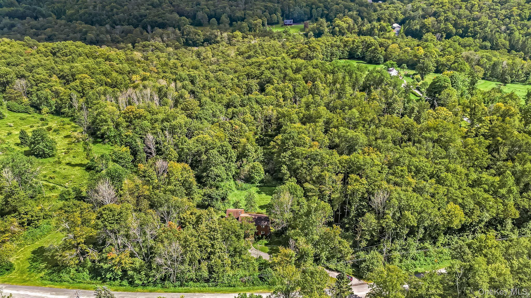 Single Family Dutch Hill Road  Sullivan County, NY 12776, MLS-1009604-31