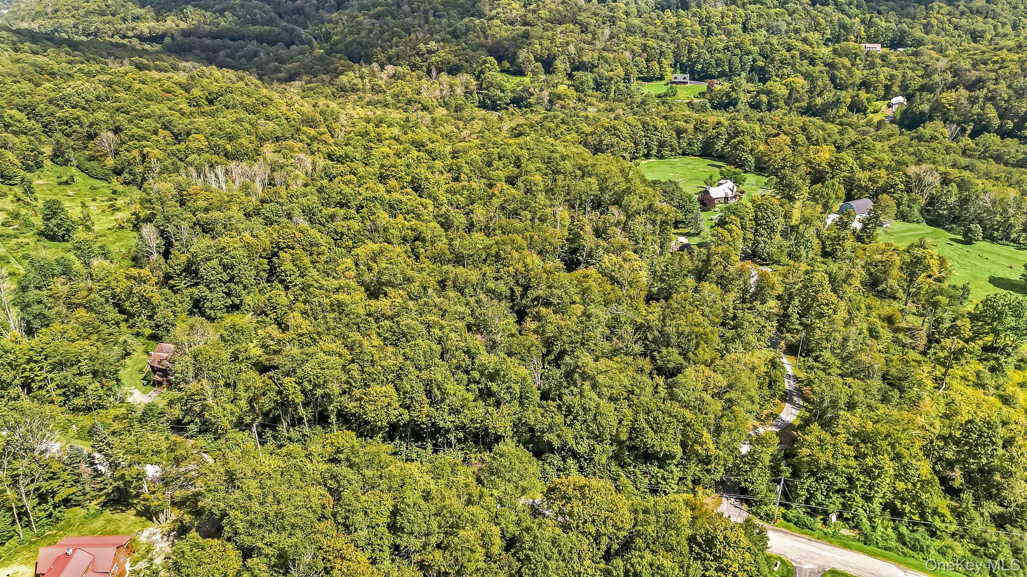 Single Family Dutch Hill Road  Sullivan County, NY 12776, MLS-1009604-32
