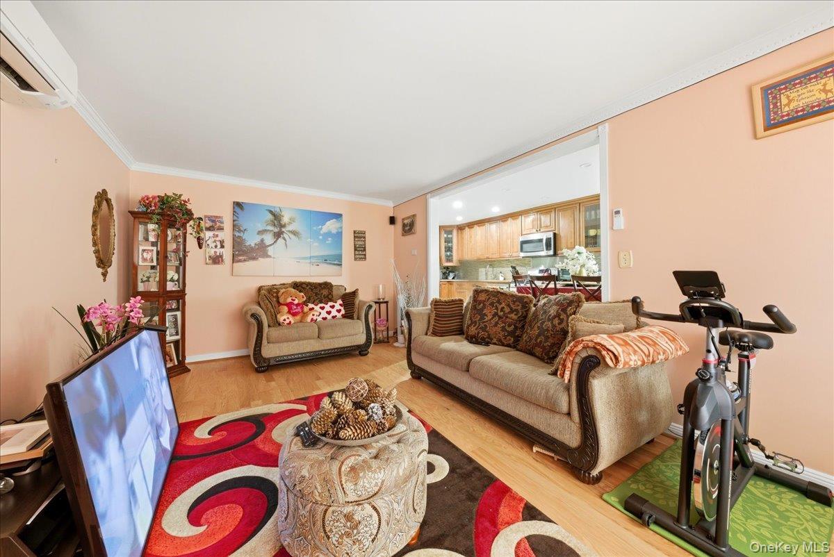 Single Family Fish Avenue Bronx, NY 10469, MLS-1009677-19