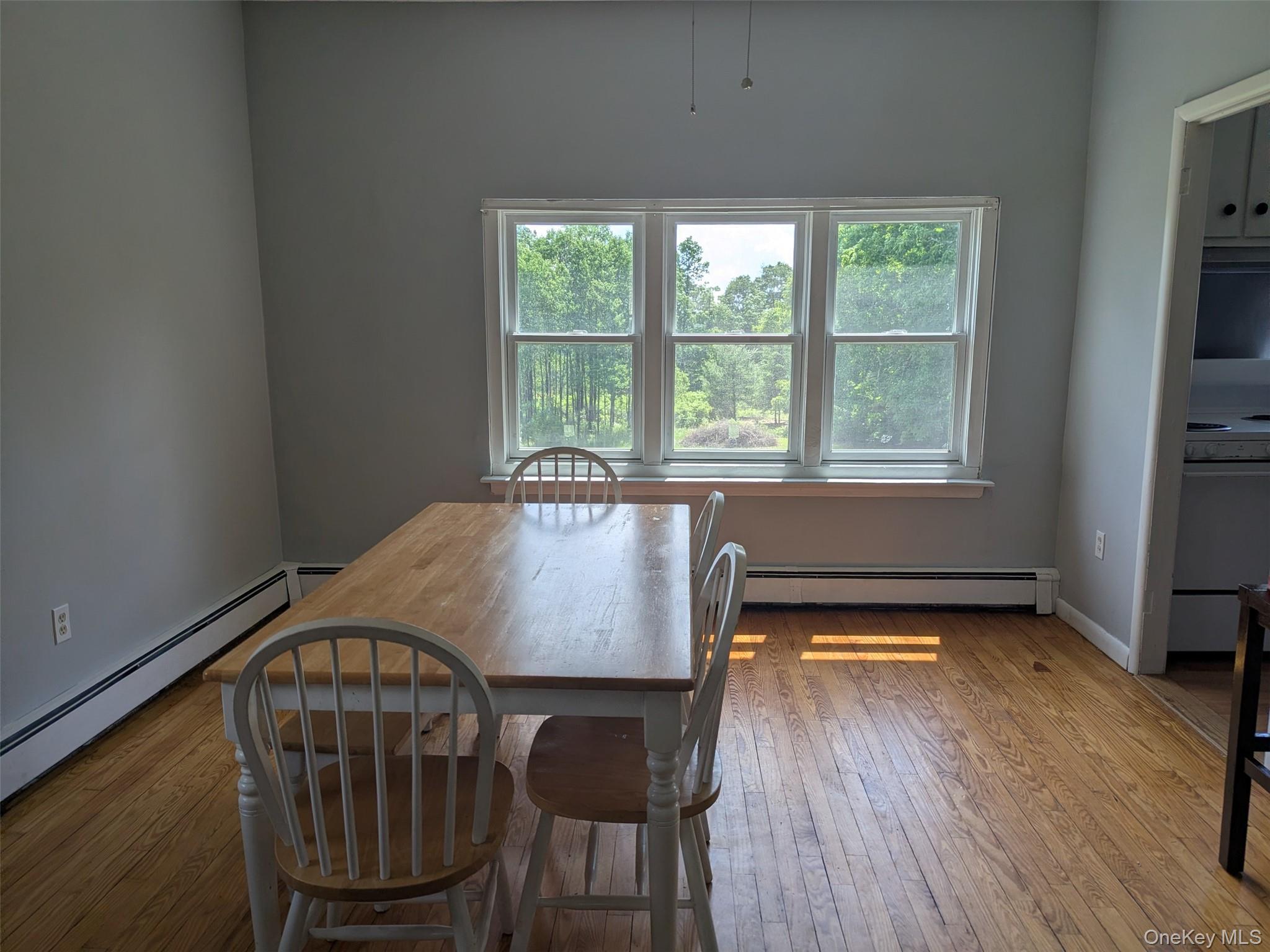 Single Family Rauch Road Sullivan County, NY 12726, MLS-1009694-17