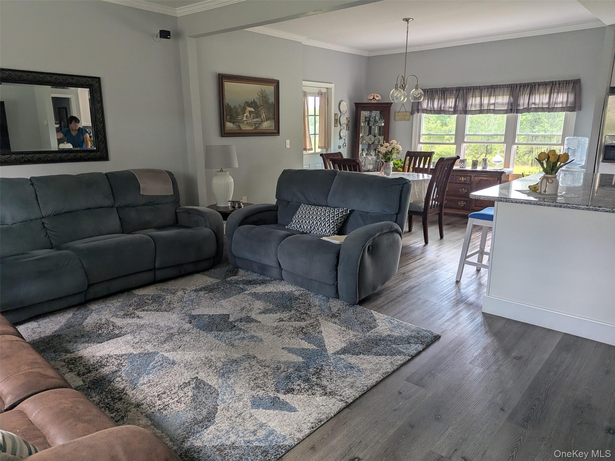 Single Family Rauch Road Sullivan County, NY 12726, MLS-1009694-4