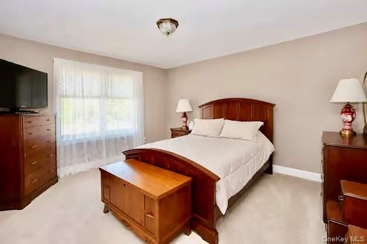 Single Family Christina Way Ulster County, NY 12547, MLS-1009780-26