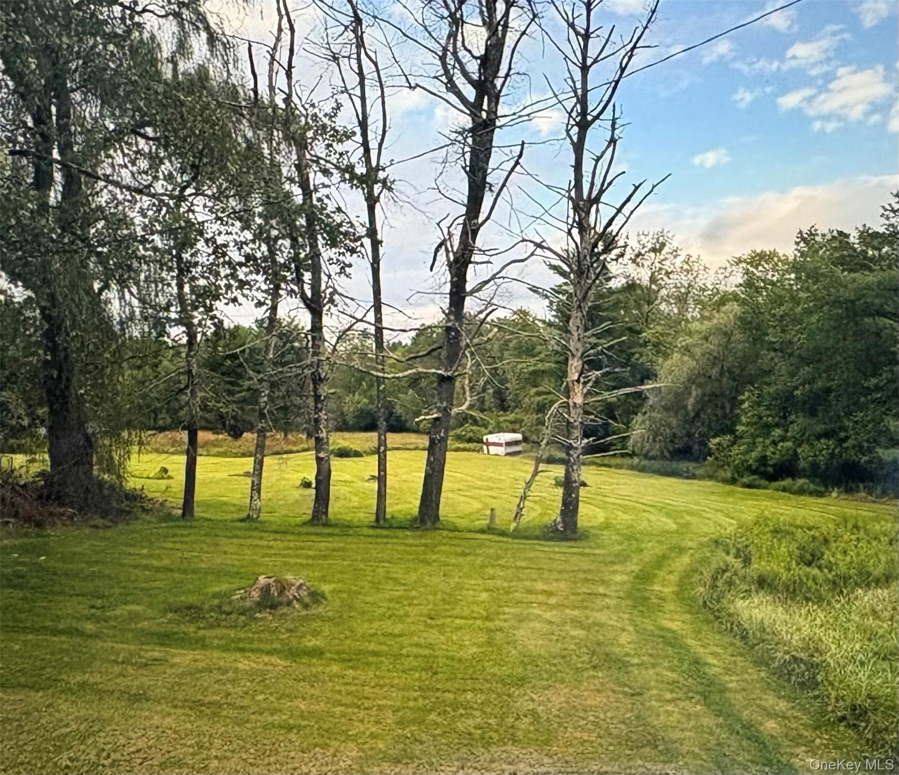 Single Family State Route 17b Sullivan County, NY 12726, MLS-1009853-4