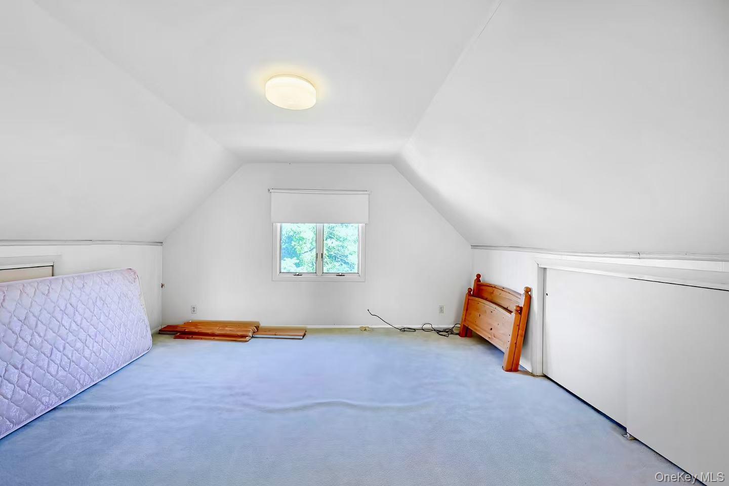 Single Family 149th Place Queens, NY 11354, MLS-1009860-17