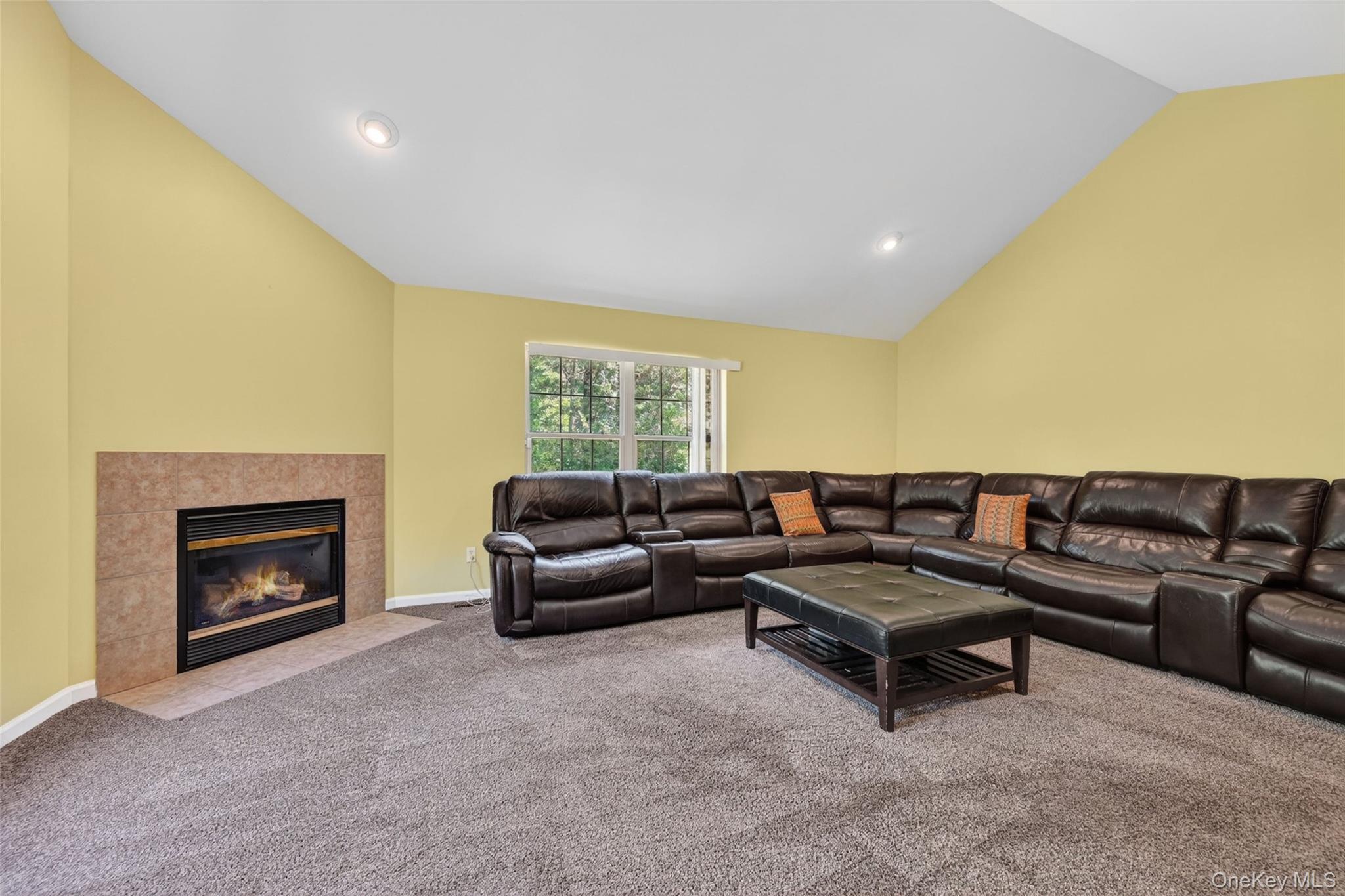 Single Family Rye Hill Road  Orange County, NY 10950, MLS-1009862-26