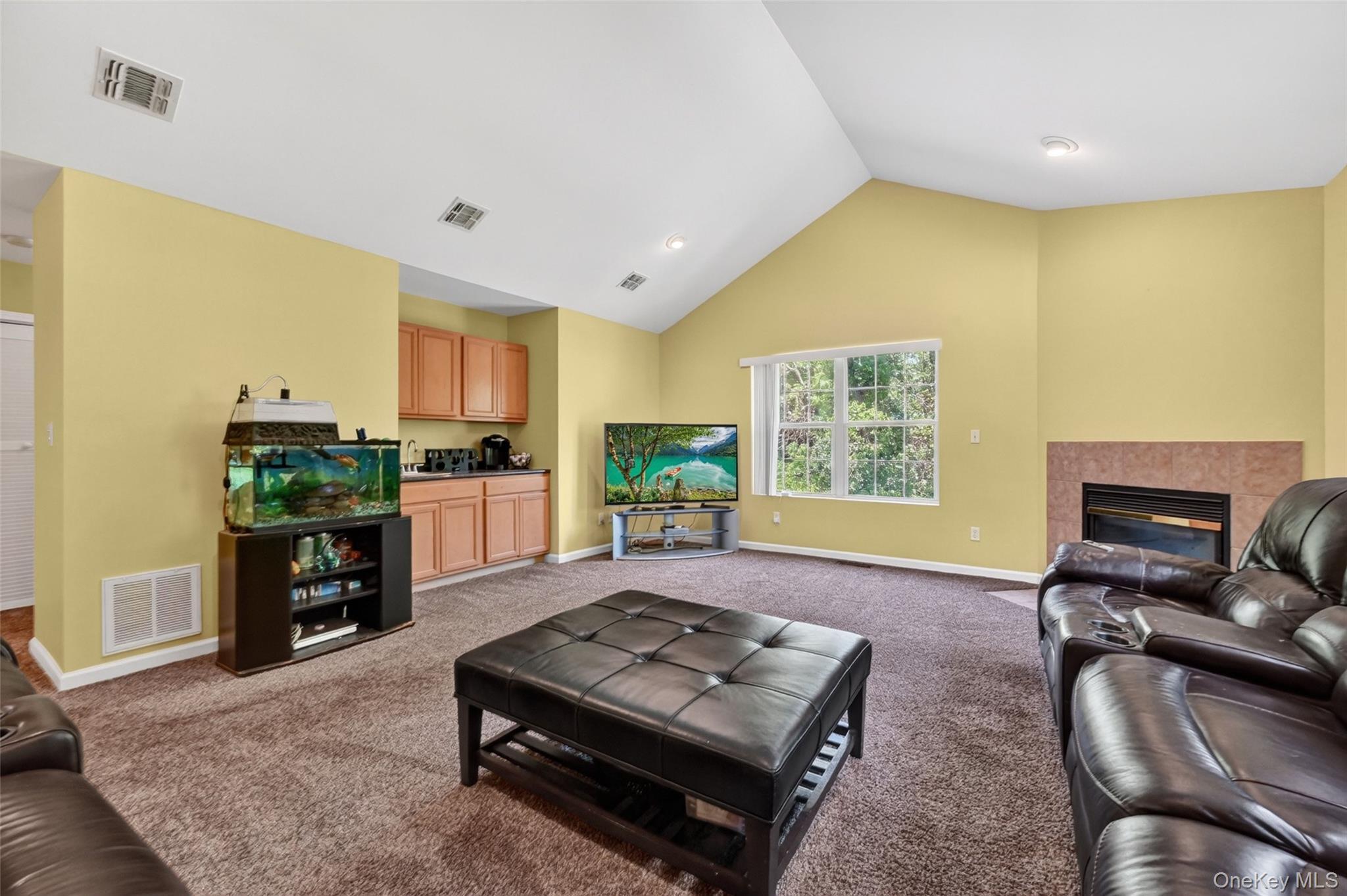Single Family Rye Hill Road  Orange County, NY 10950, MLS-1009862-27
