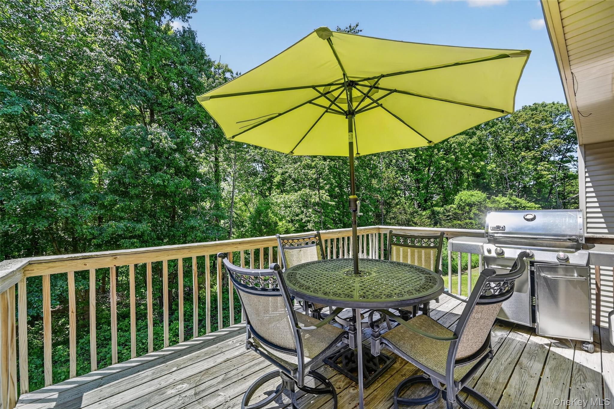 Single Family Rye Hill Road  Orange County, NY 10950, MLS-1009862-31