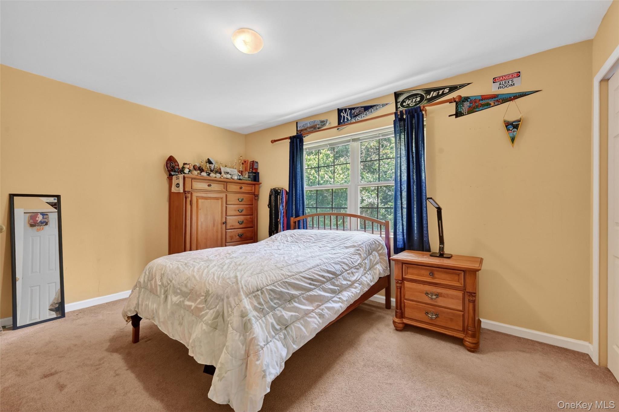 Single Family Rye Hill Road  Orange County, NY 10950, MLS-1009862-33