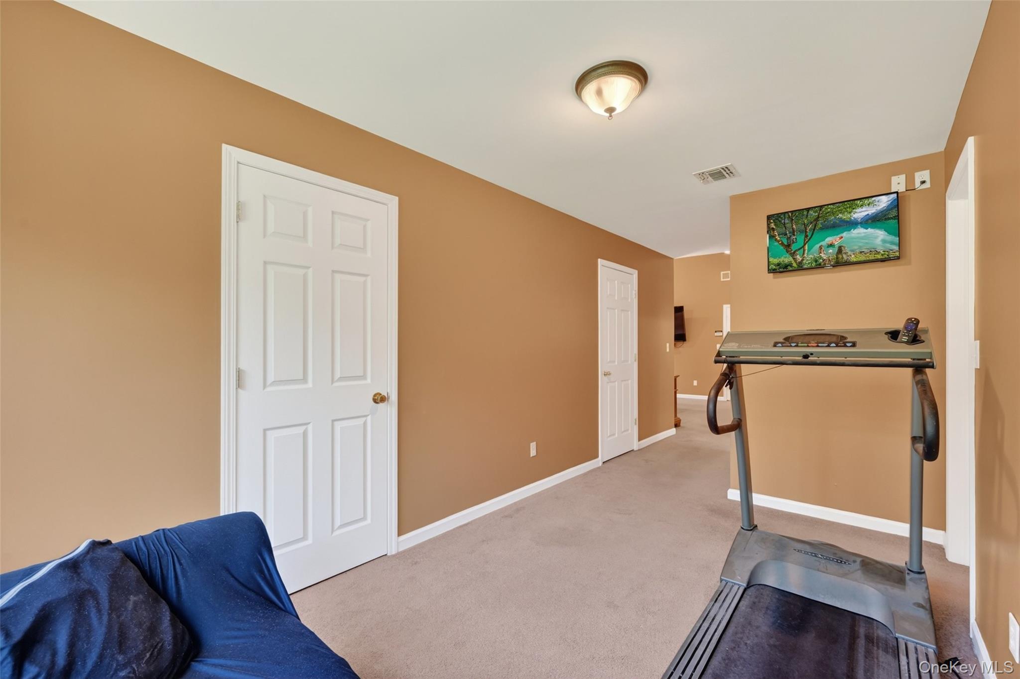 Single Family Rye Hill Road  Orange County, NY 10950, MLS-1009862-39