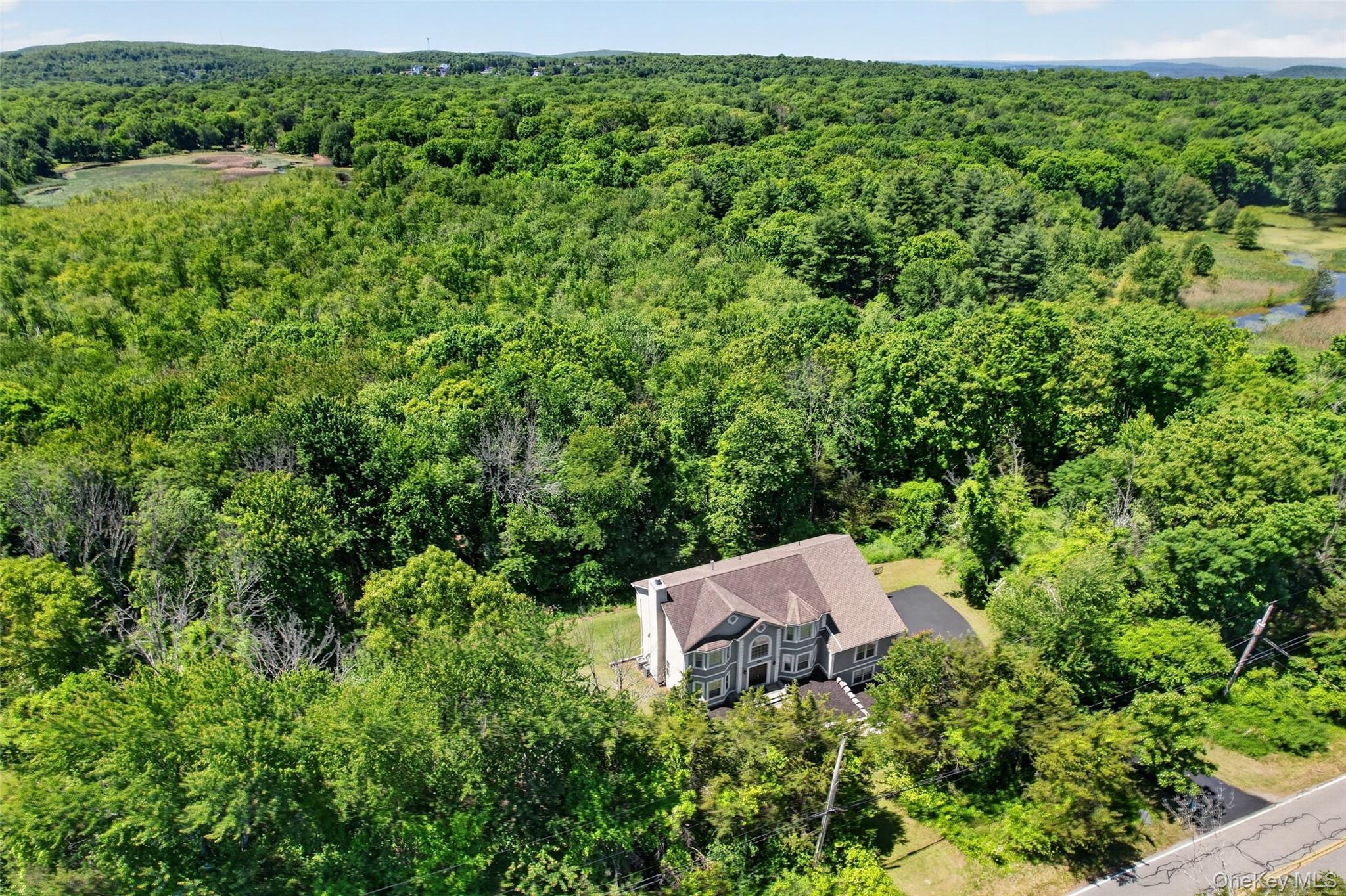 Single Family Rye Hill Road  Orange County, NY 10950, MLS-1009862-5
