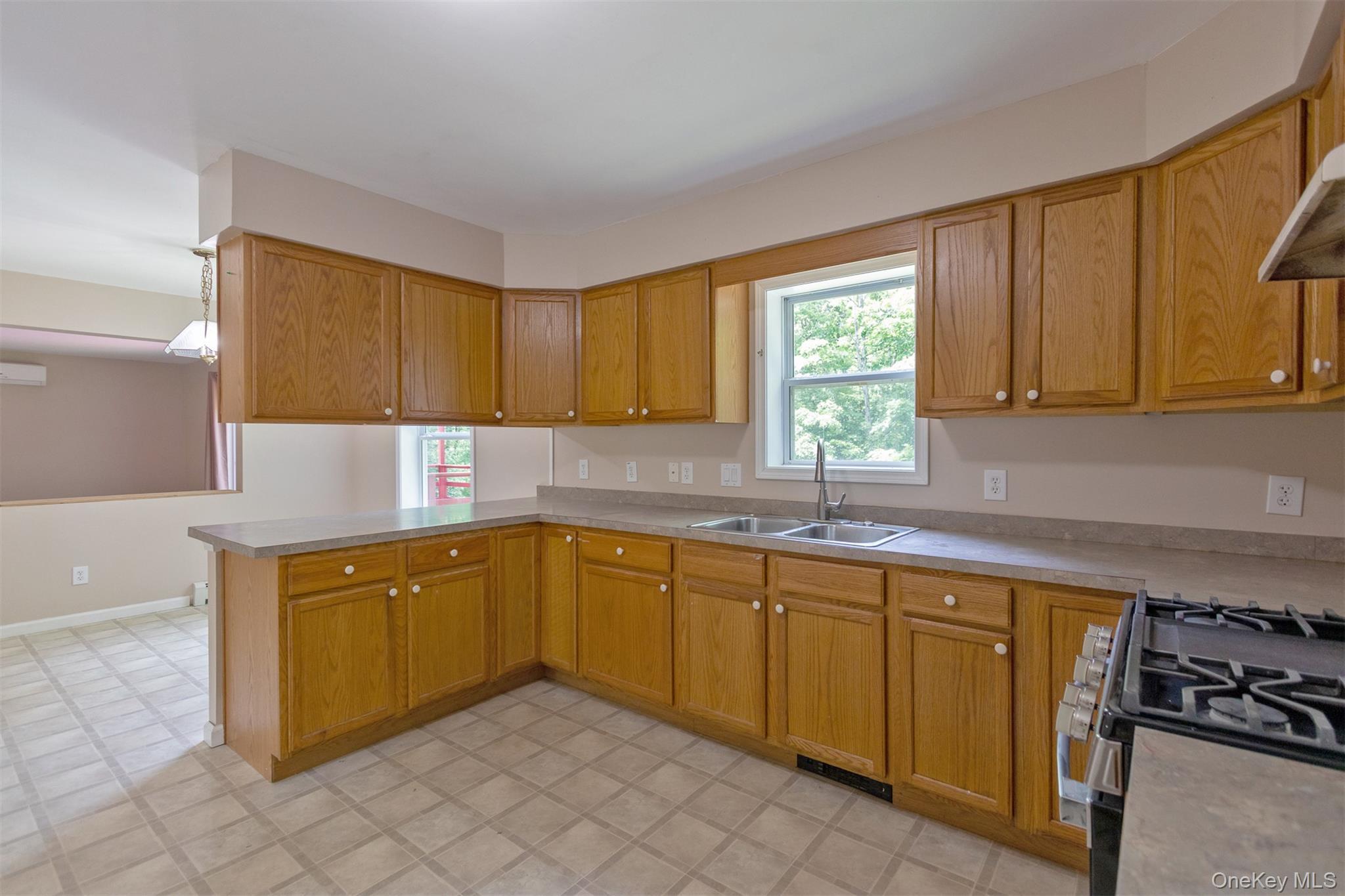 Single Family Lairds Court Greene County, NY 12413, MLS-1009952-10