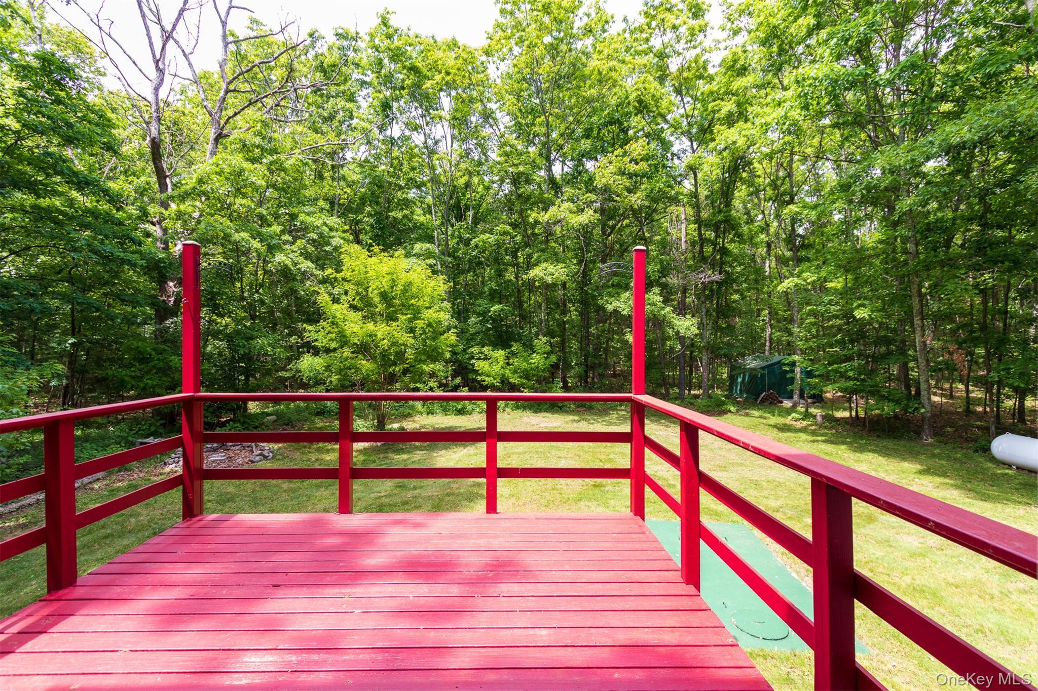 Single Family Lairds Court Greene County, NY 12413, MLS-1009952-36