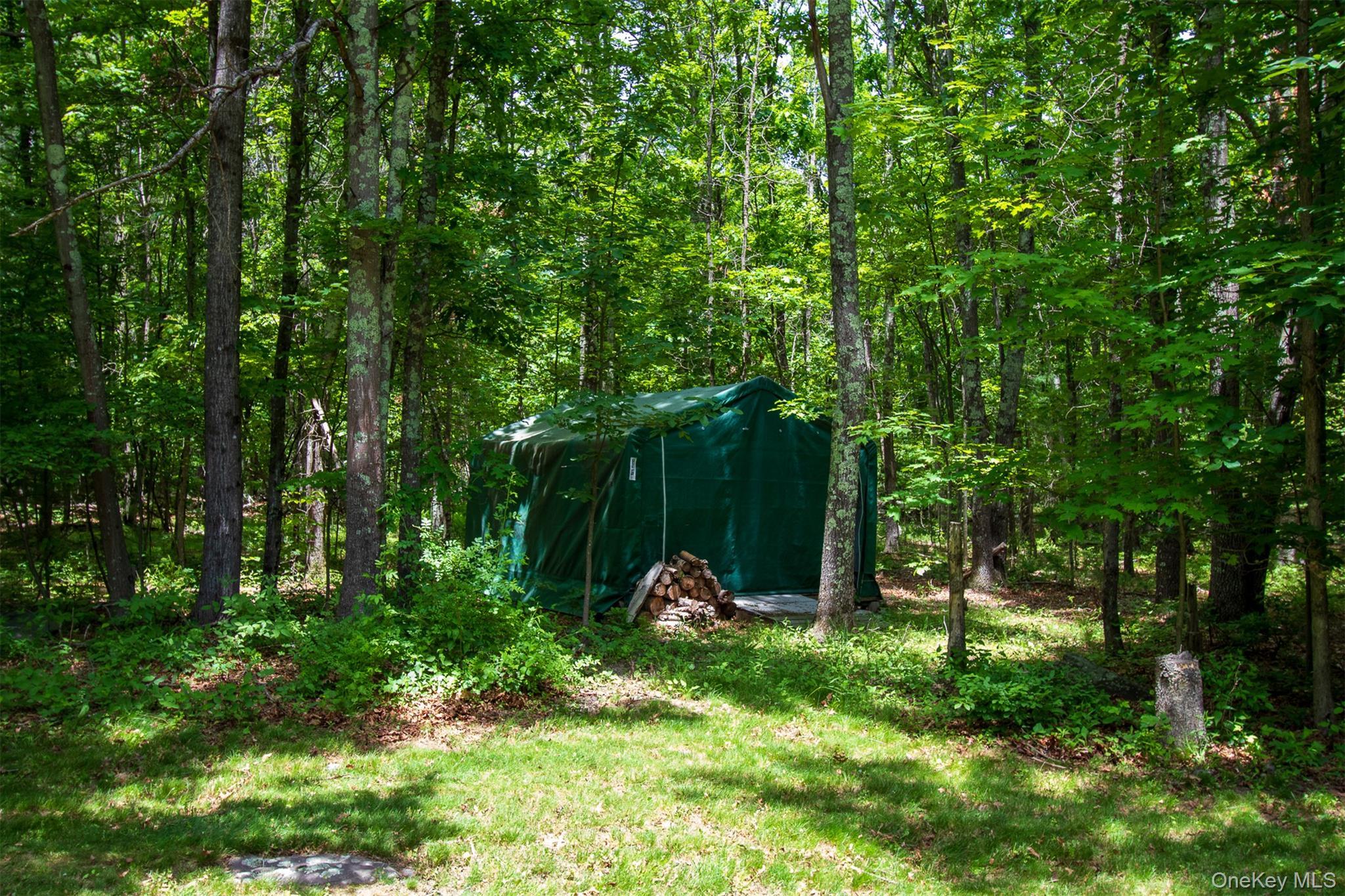 Single Family Lairds Court Greene County, NY 12413, MLS-1009952-38