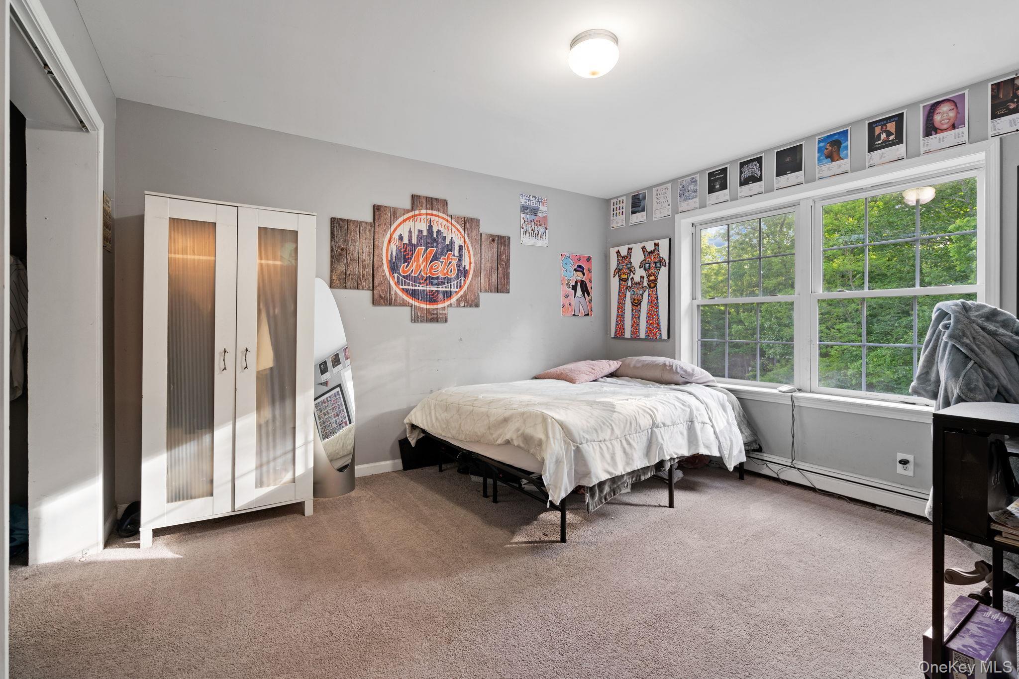 Single Family Penaluna Road Orange County, NY 10950, MLS-1009971-23