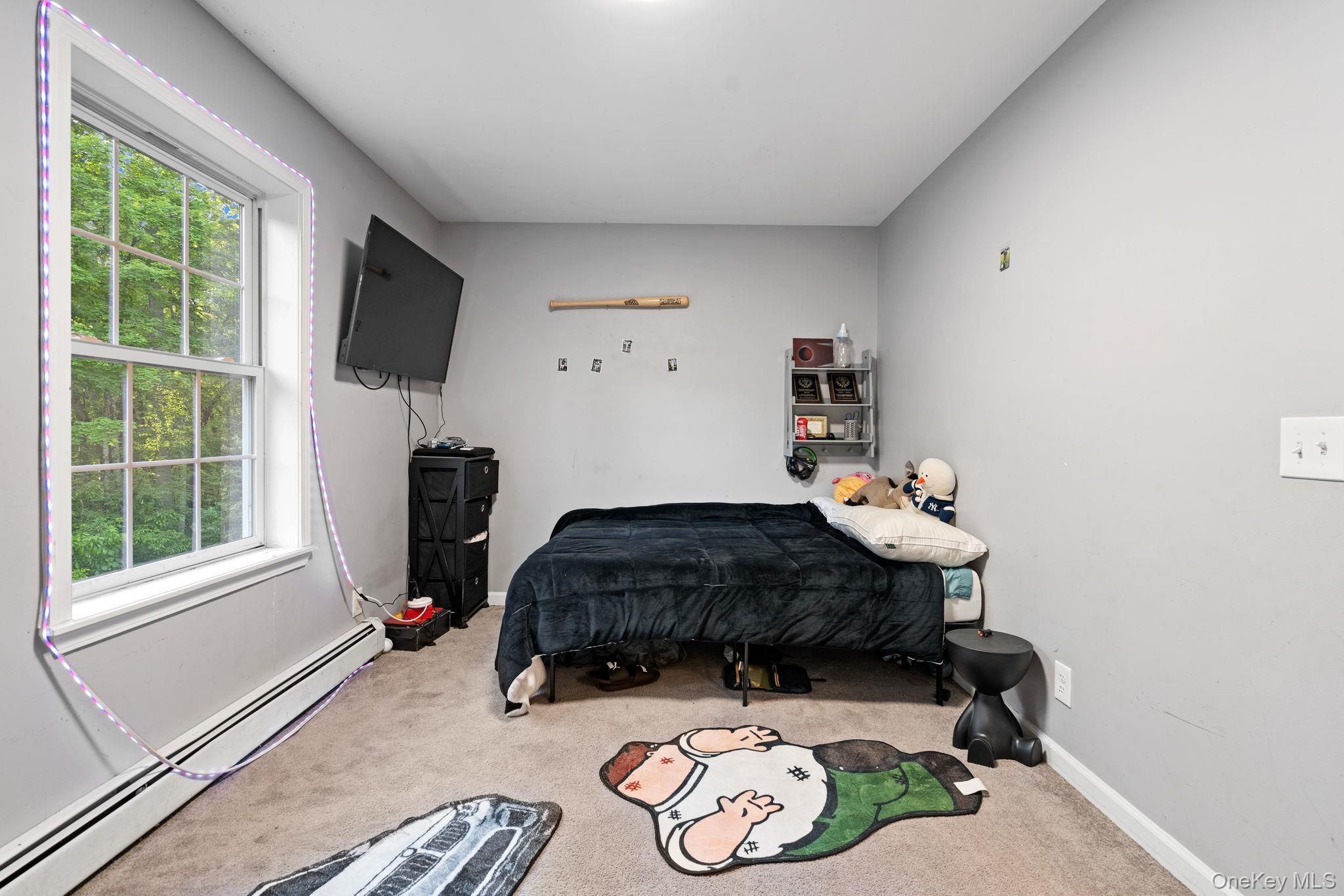 Single Family Penaluna Road Orange County, NY 10950, MLS-1009971-28