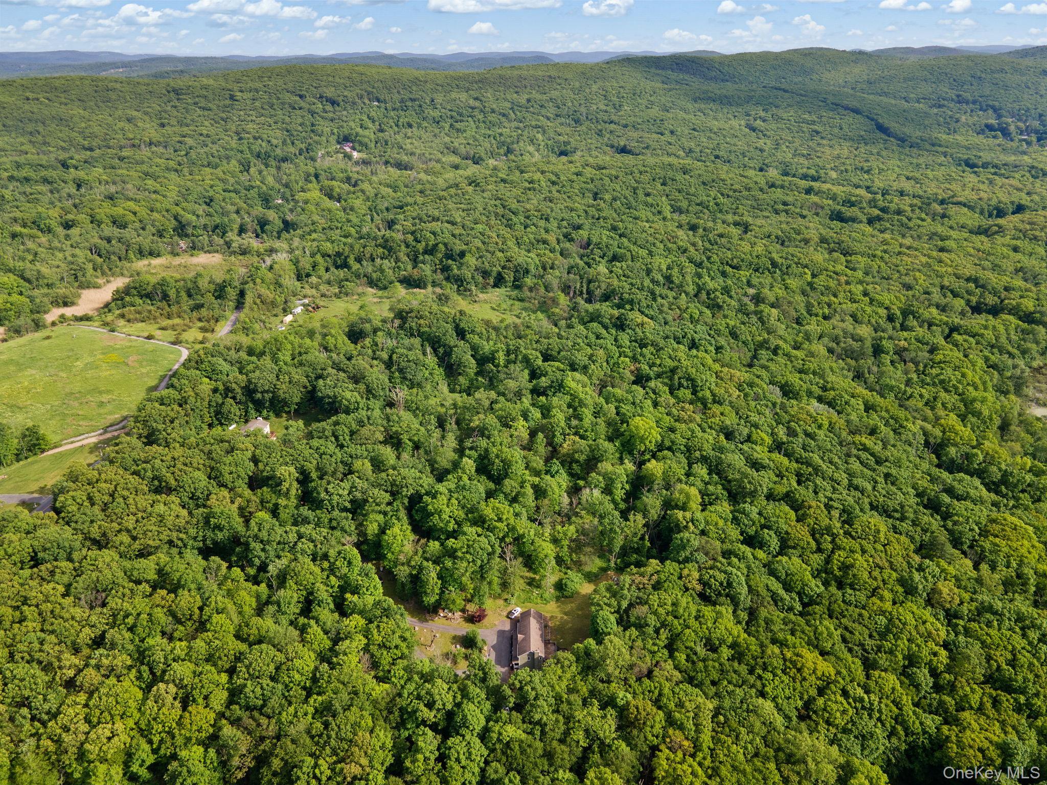 Single Family Penaluna Road Orange County, NY 10950, MLS-1009971-33