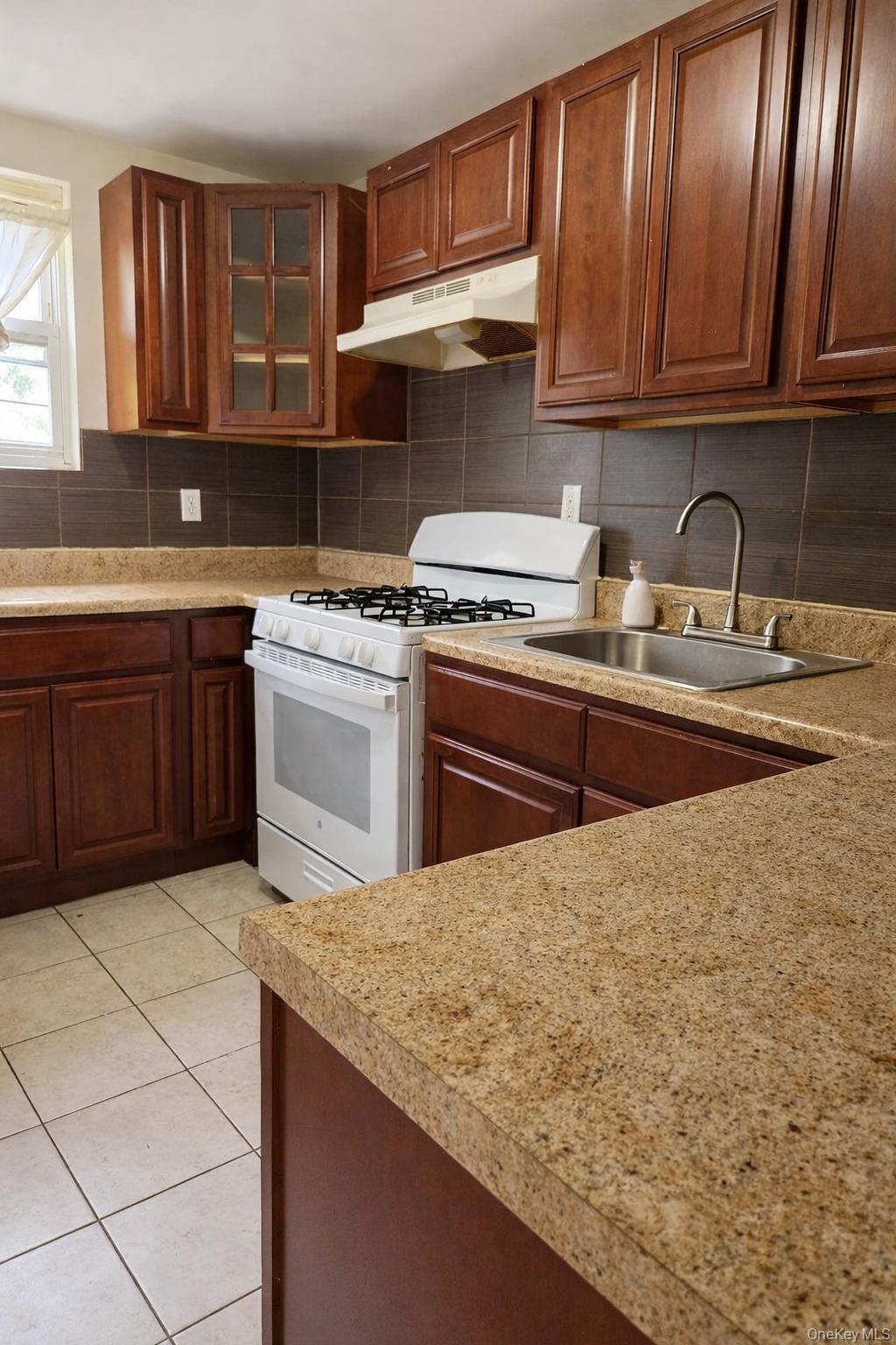 Single Family Macdougal Street Brooklyn, NY 11233, MLS-1009993-6