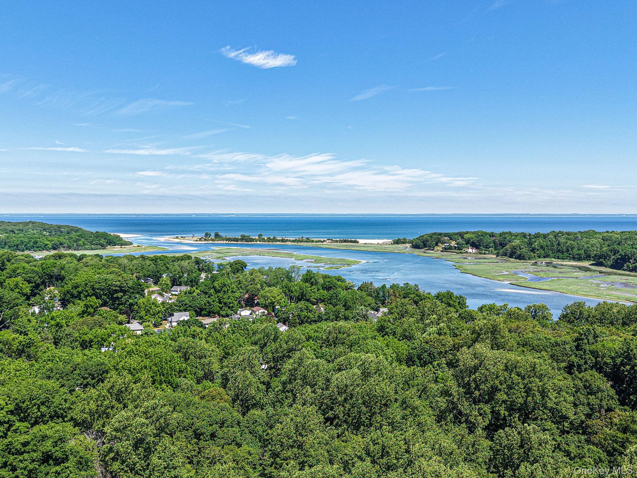 Single Family Landing Avenue Suffolk County, NY 11787, MLS-1010107-41