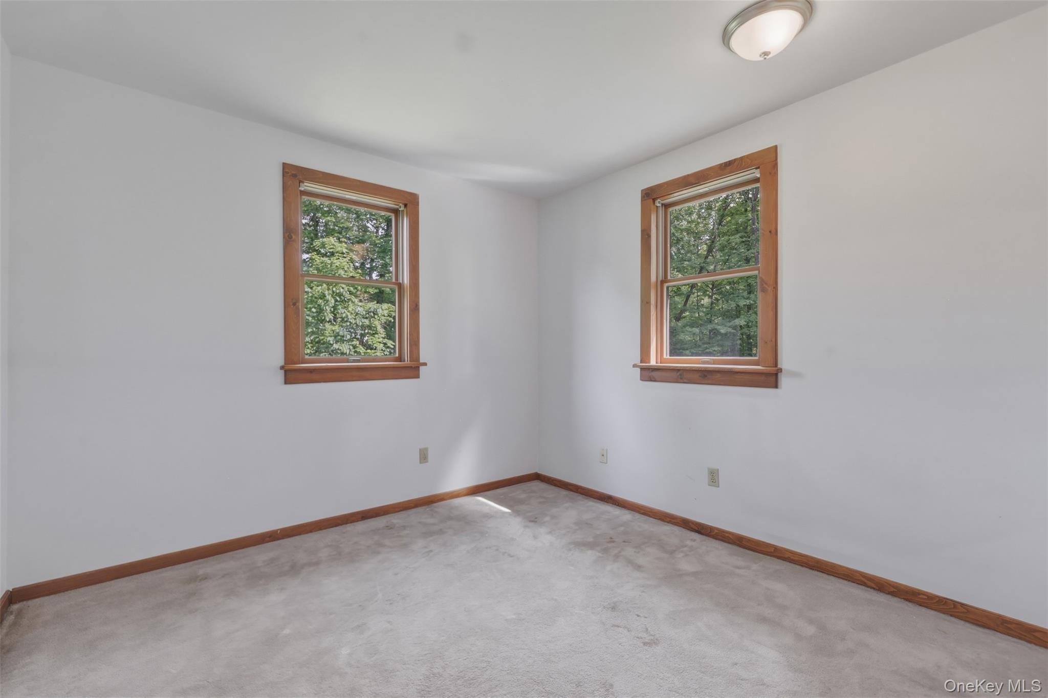 Single Family Enderkill Drive Dutchess County, NY 12580, MLS-1010116-24