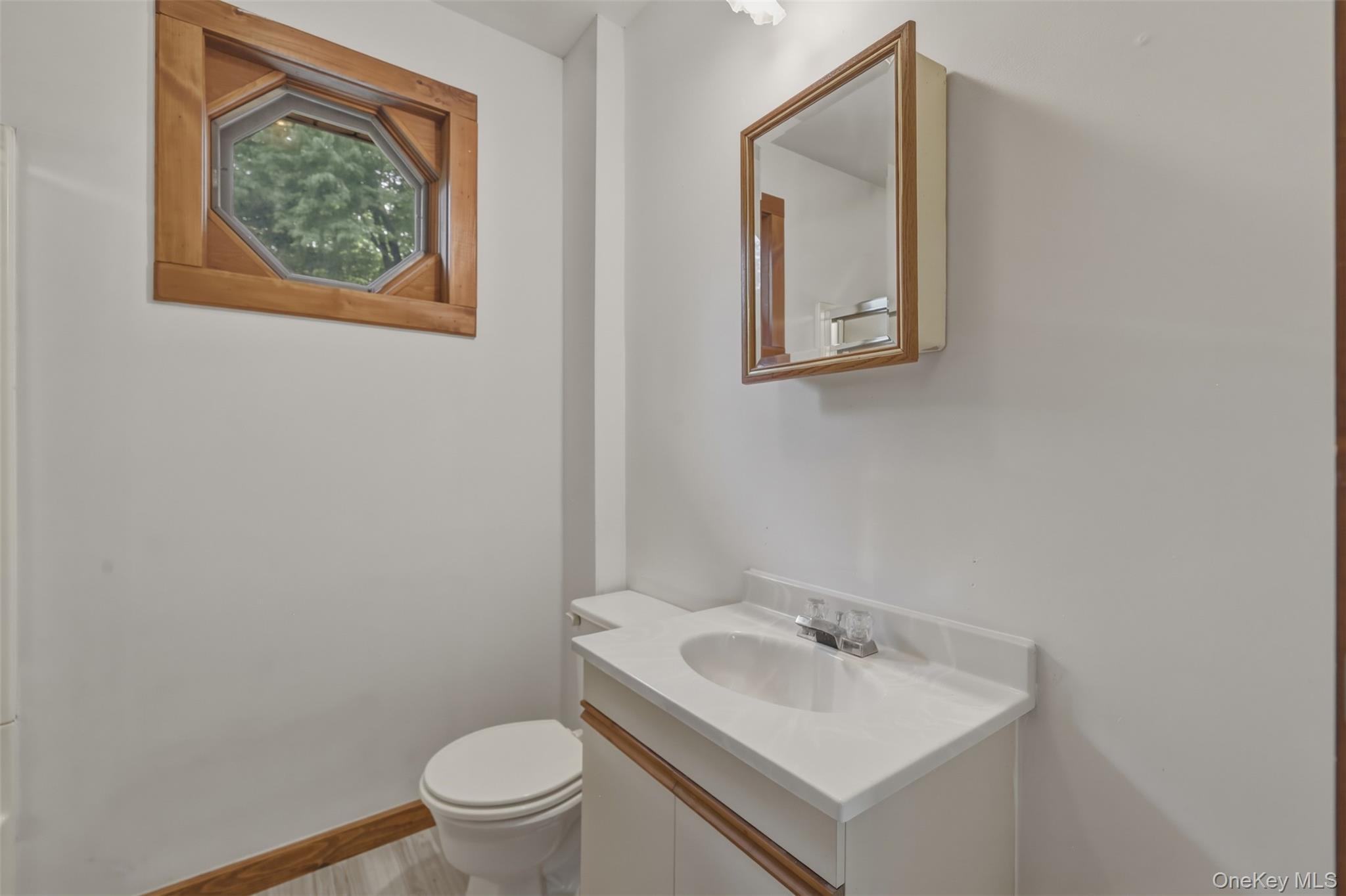 Single Family Enderkill Drive Dutchess County, NY 12580, MLS-1010116-26