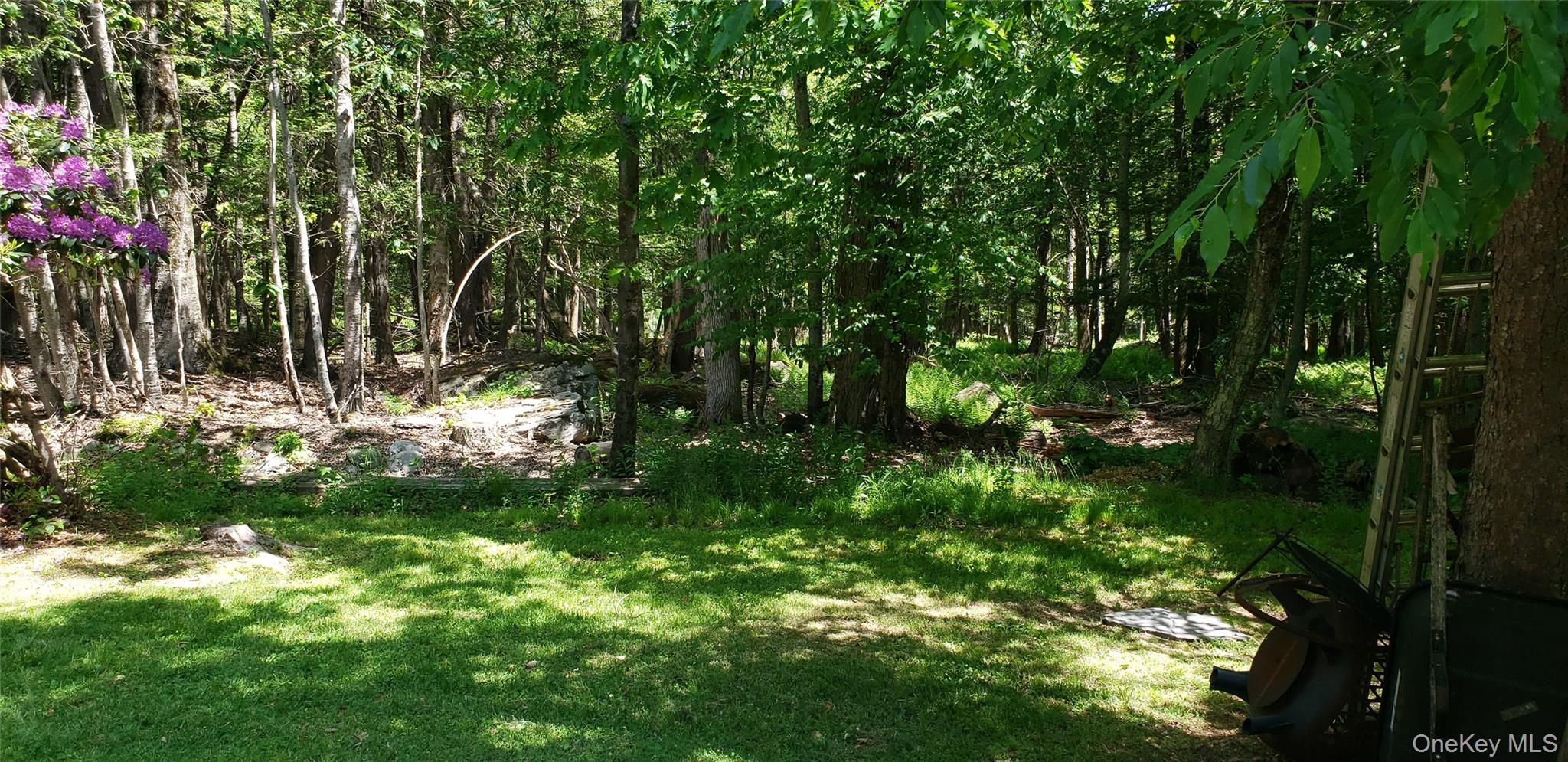 Single Family Elizabeth Sullivan County, NY 12751, MLS-1010138-22