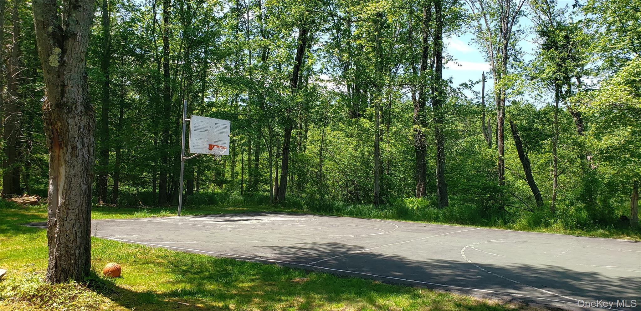 Single Family Elizabeth Sullivan County, NY 12751, MLS-1010138-29