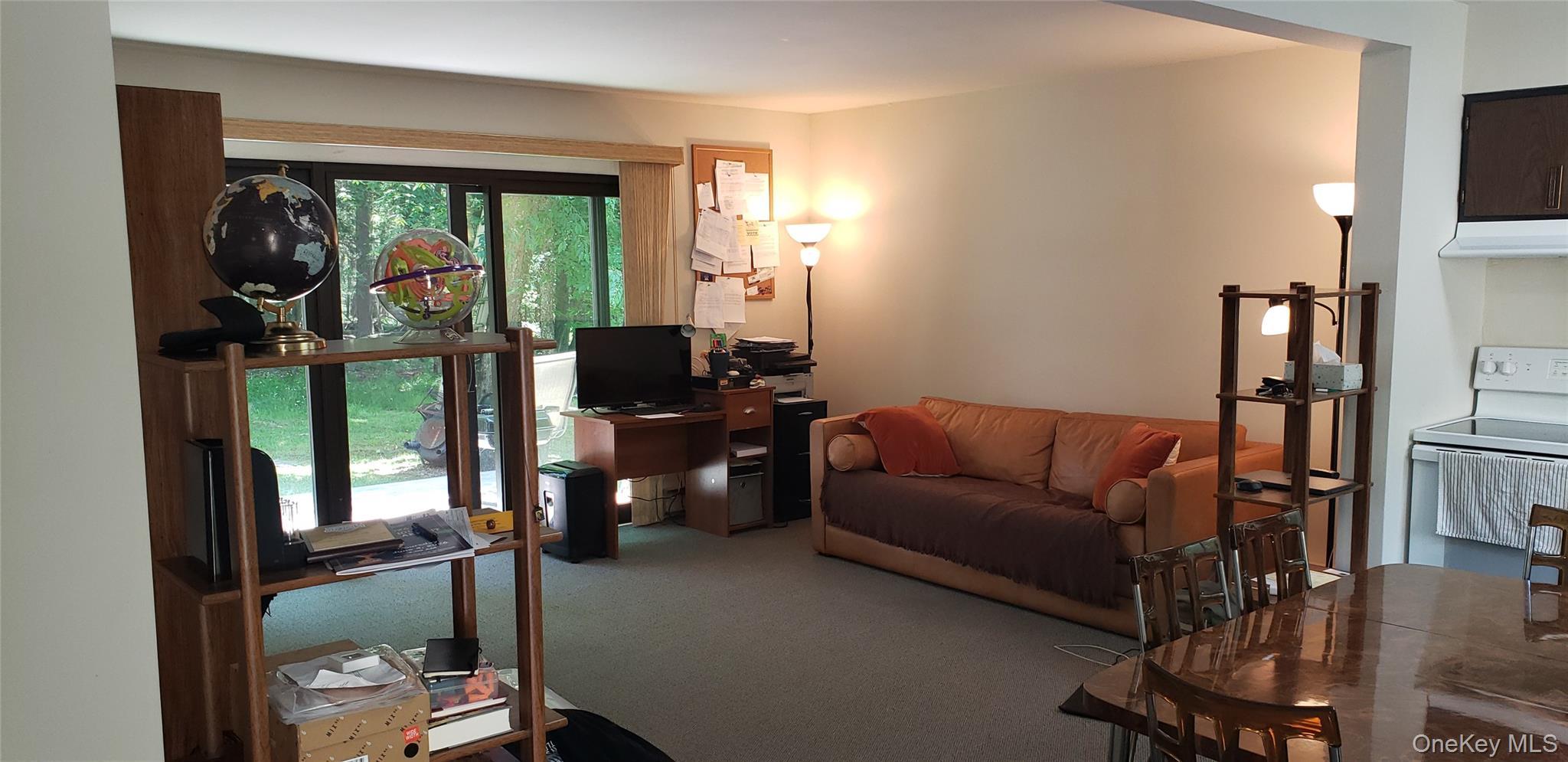 Single Family Elizabeth Sullivan County, NY 12751, MLS-1010138-4