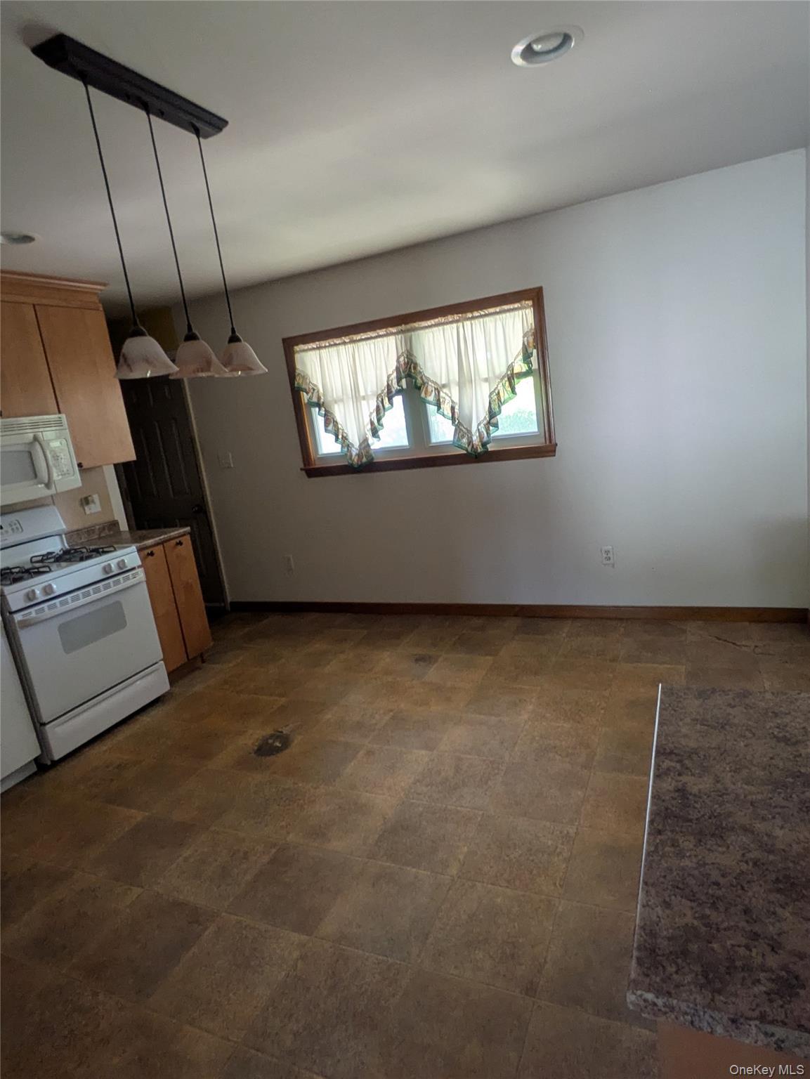 Single Family Kalina Drive Ulster County, NY 12477, MLS-1010147-12