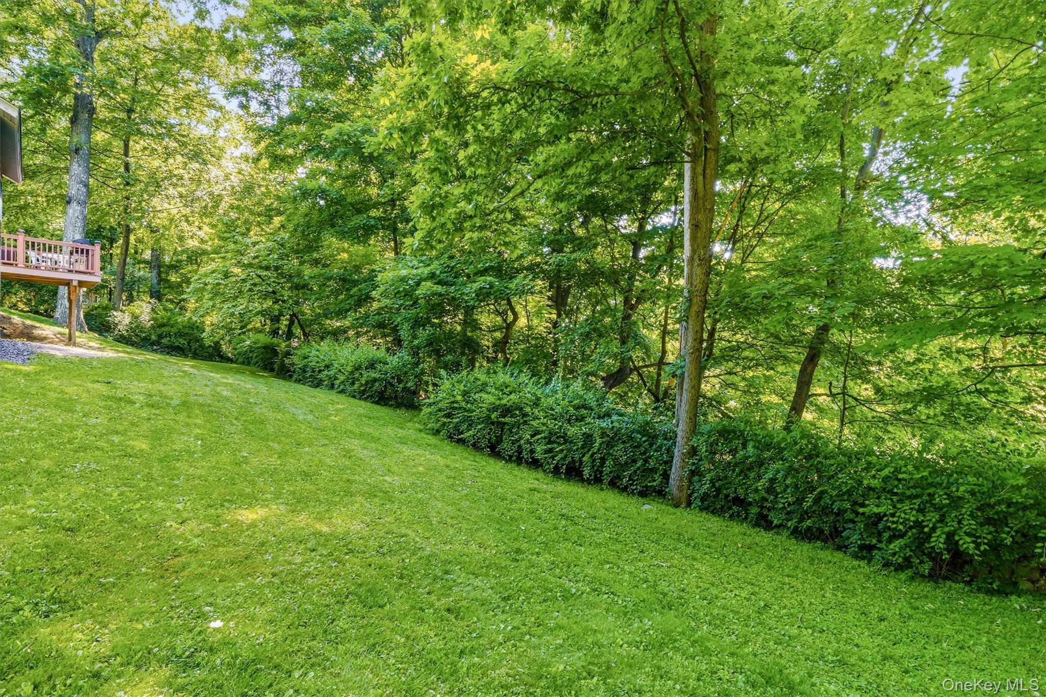 Single Family Echo Trail Orange County, NY 10950, MLS-1010153-35