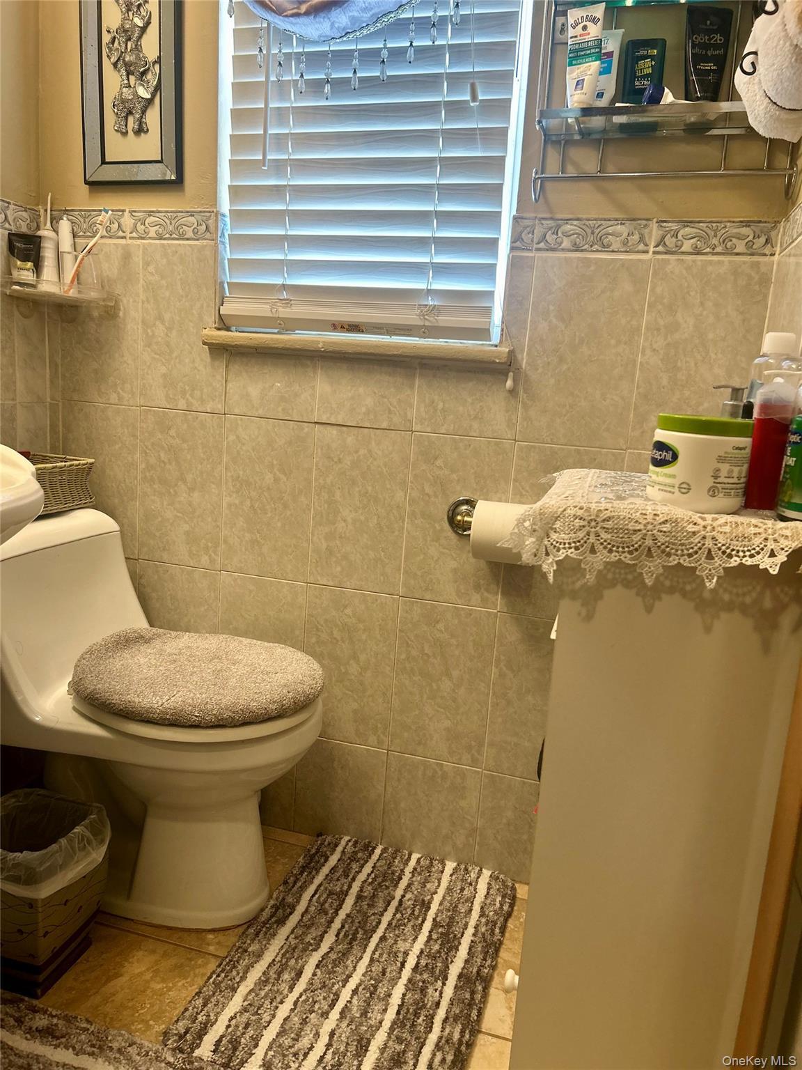 Single Family 212th Queens, NY 11428, MLS-1010154-17
