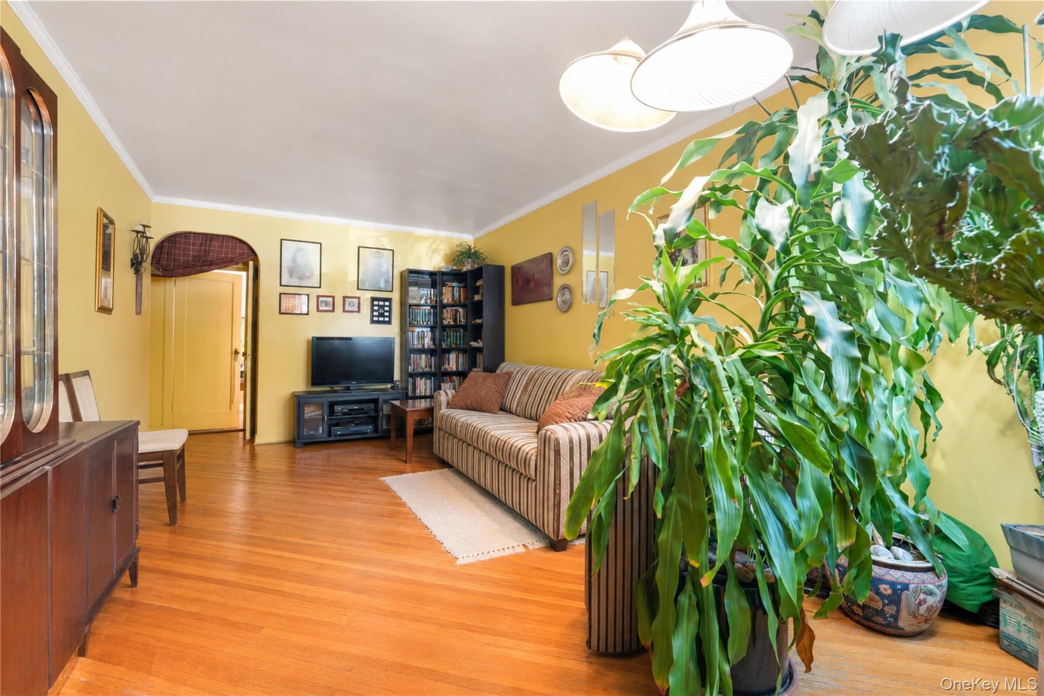 Single Family Selfridge Street Queens, NY 11375, MLS-1010196-5