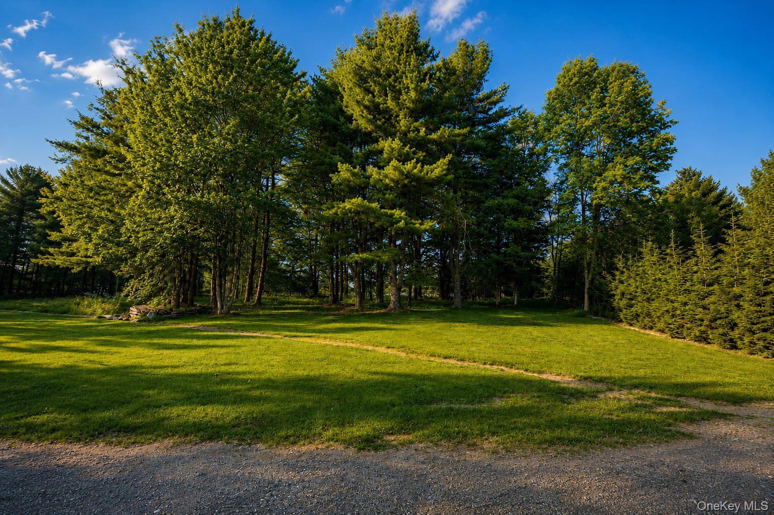 Single Family Lt Brender Hwy Sullivan County, NY 12734, MLS-1010216-4