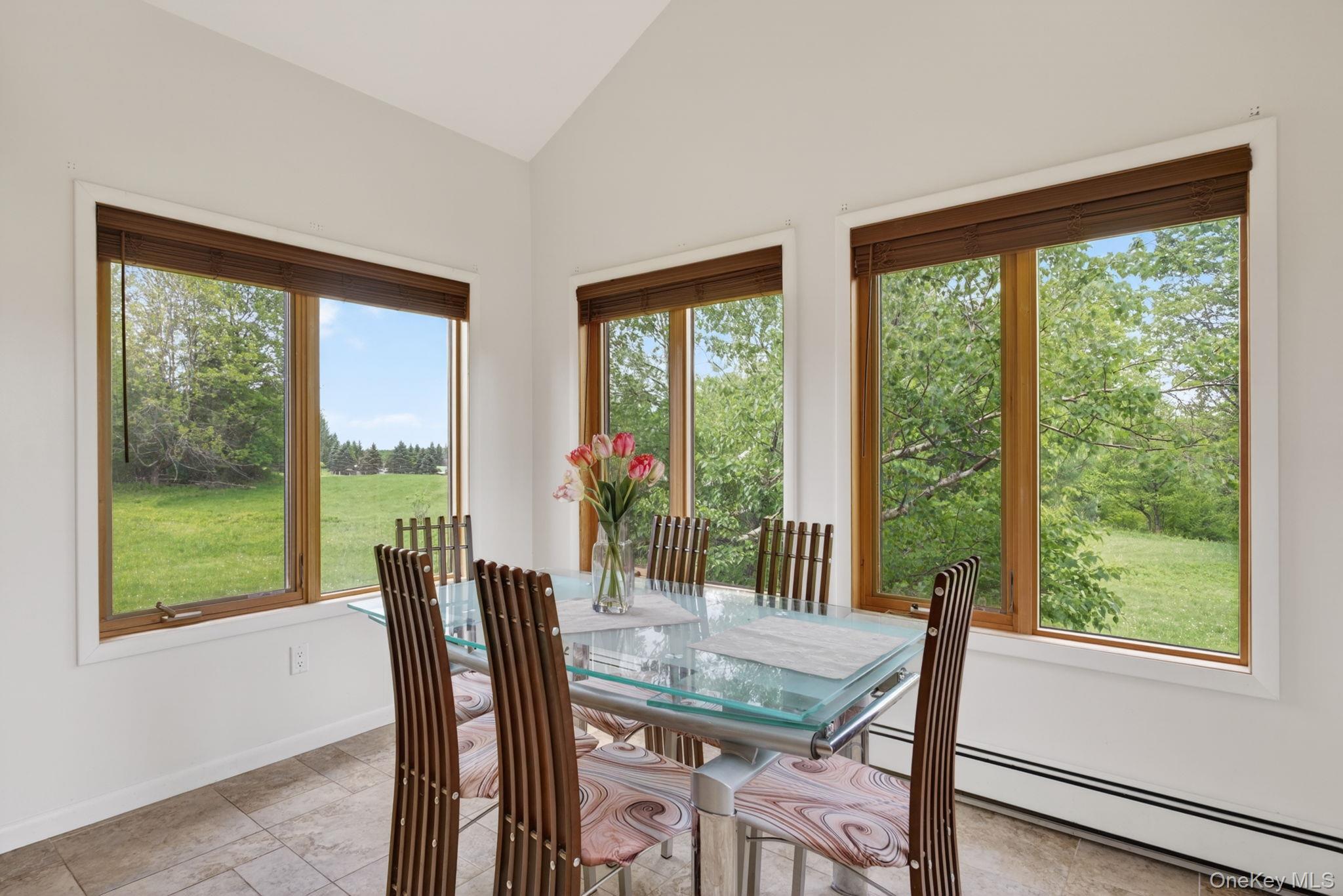 Single Family N Pond Drive  Sullivan County, NY 12768, MLS-1010224-10