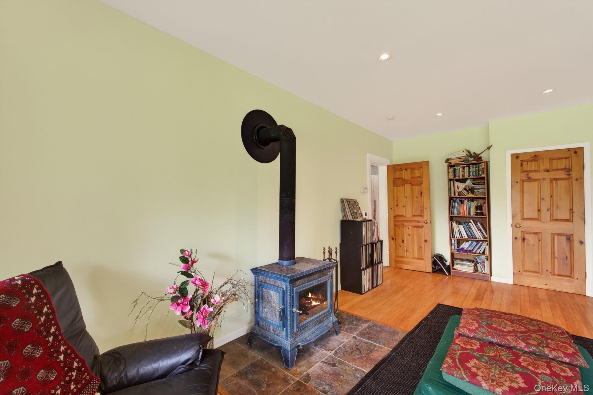 Single Family N Pond Drive  Sullivan County, NY 12768, MLS-1010224-21